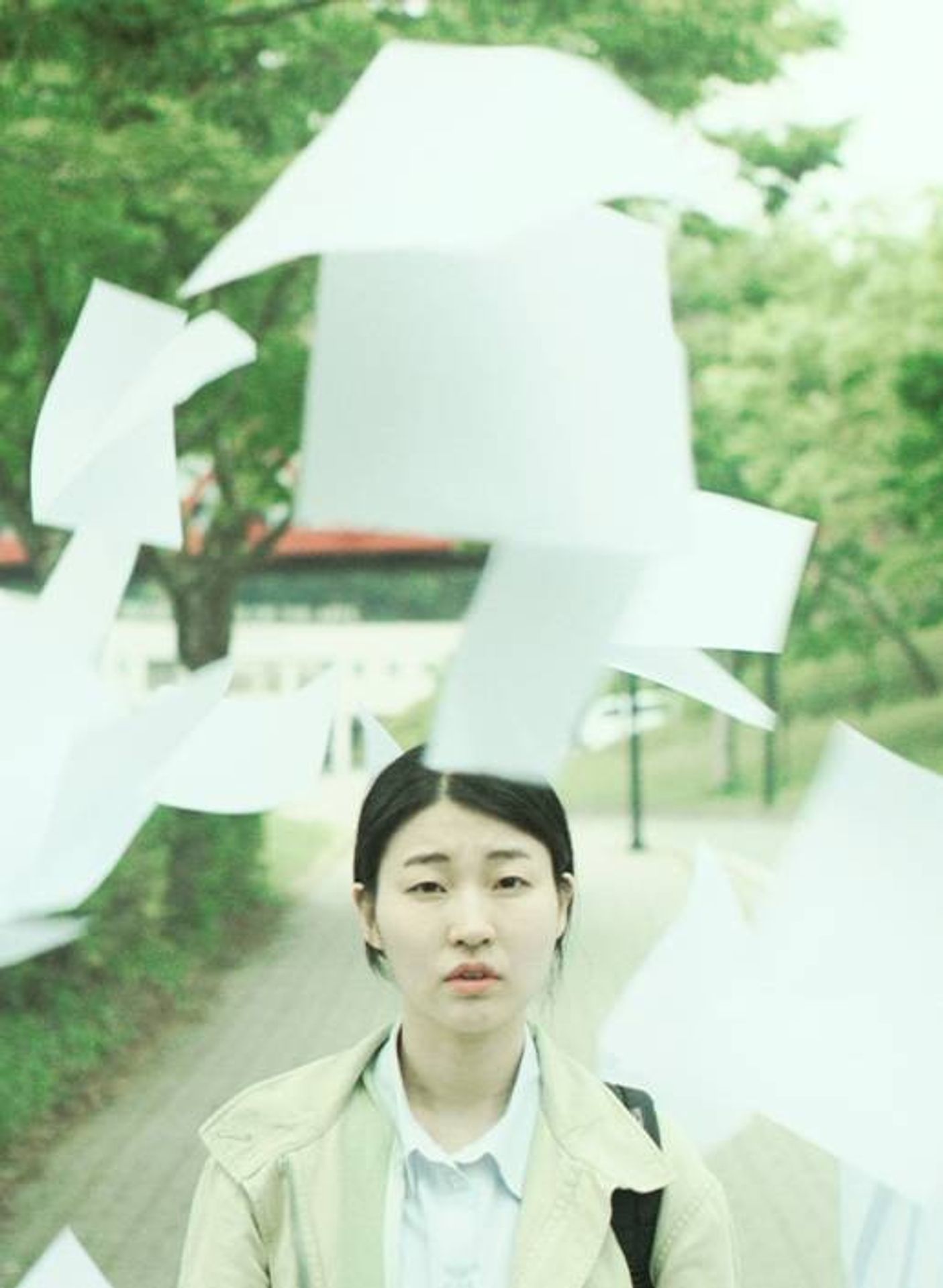 보라