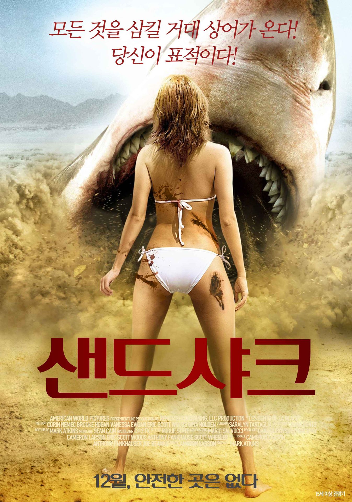 샌드 샤크