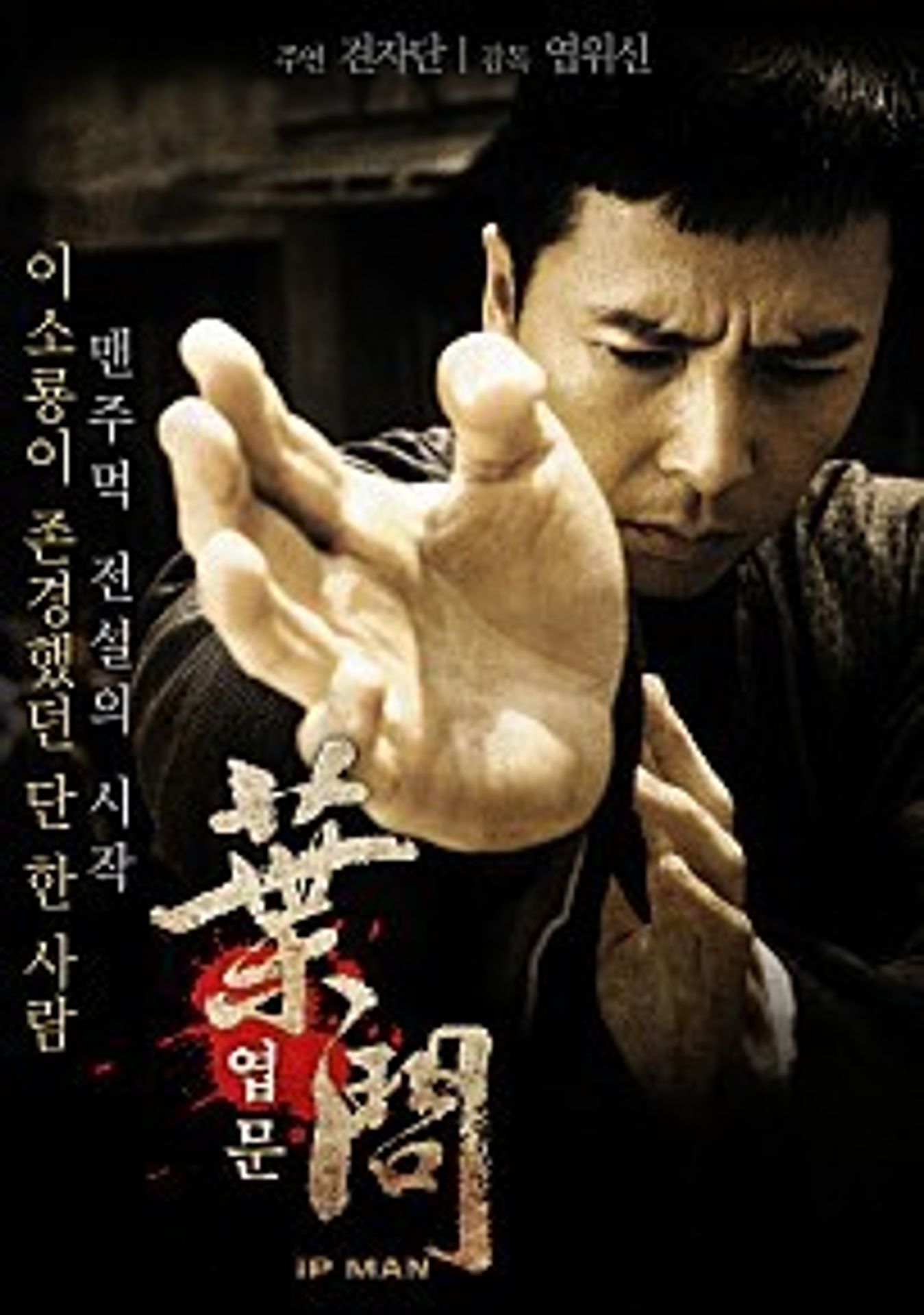 엽문 특별판