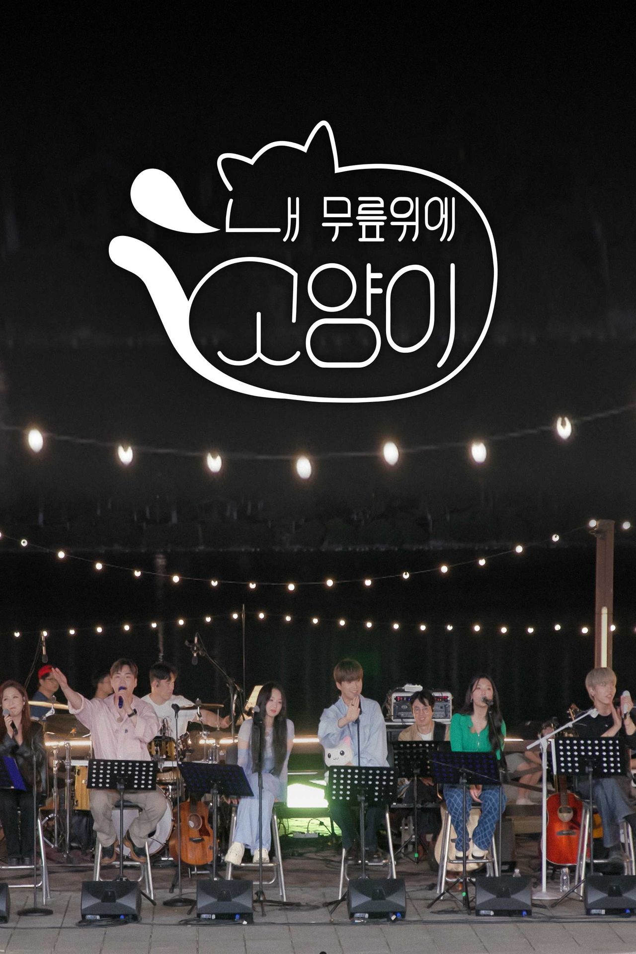 내 무릎위의 고양이 고양