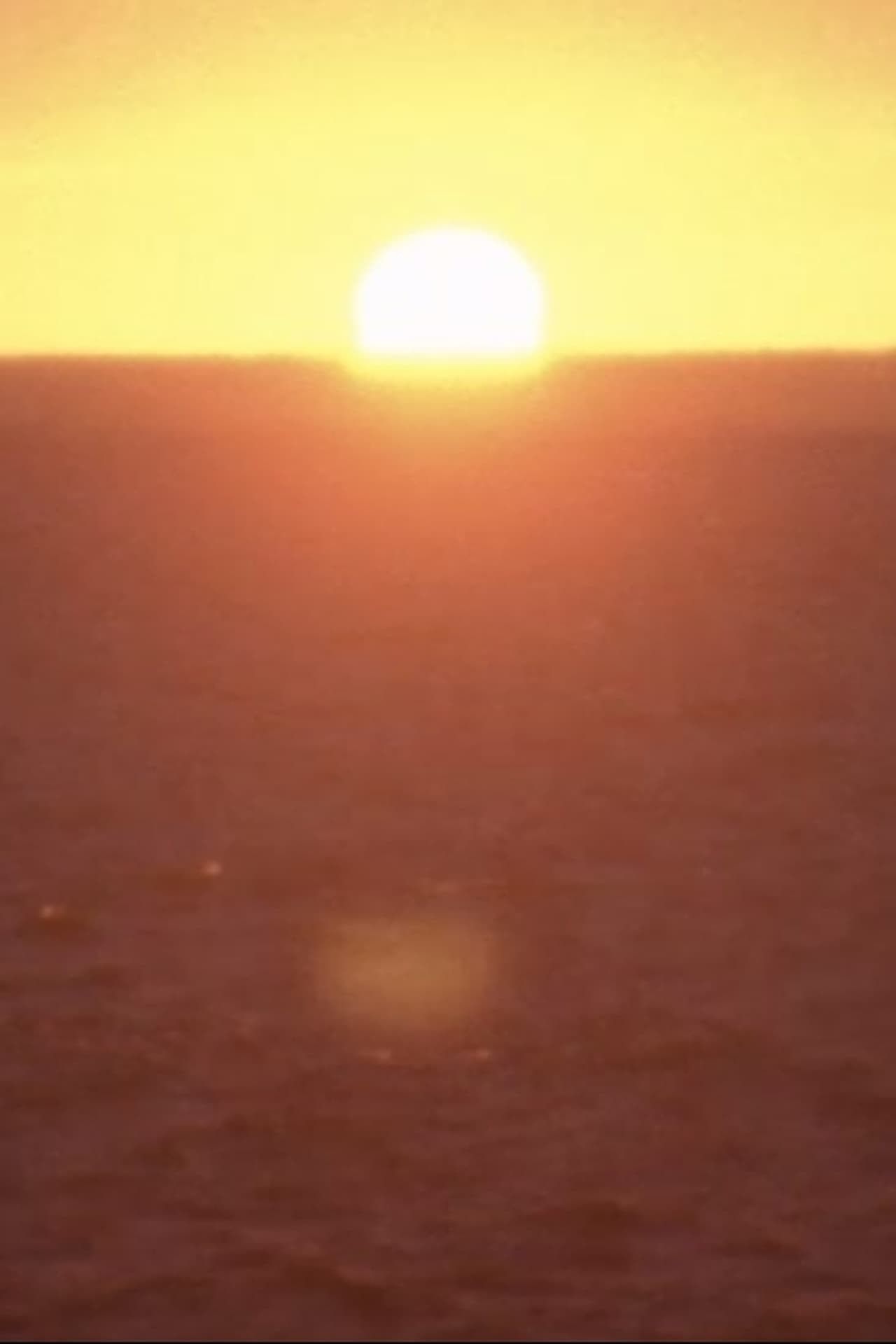 시간을 거슬러