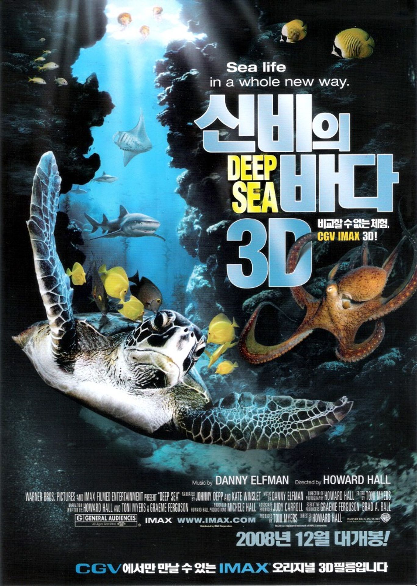 신비의 바다