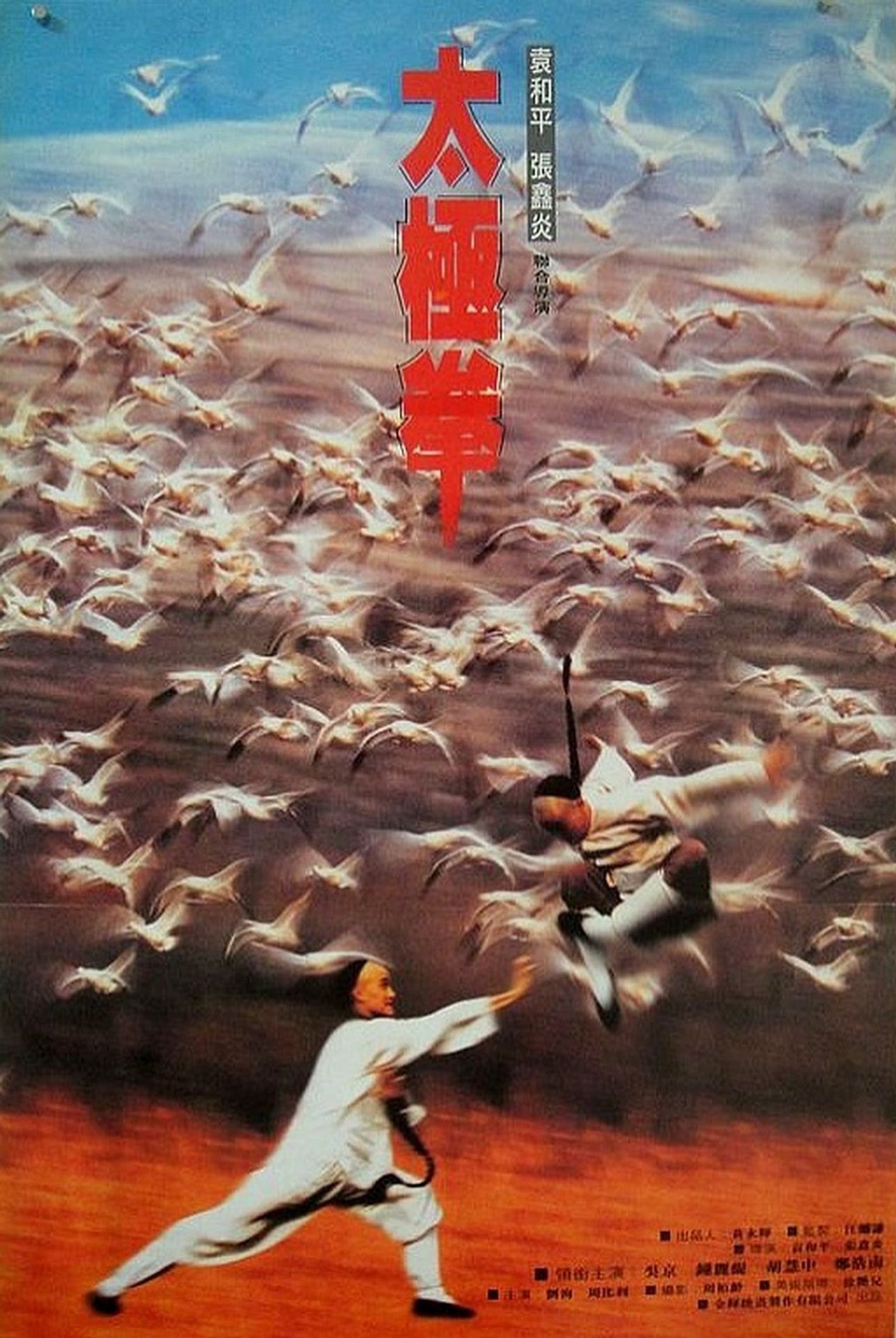 태극권 2