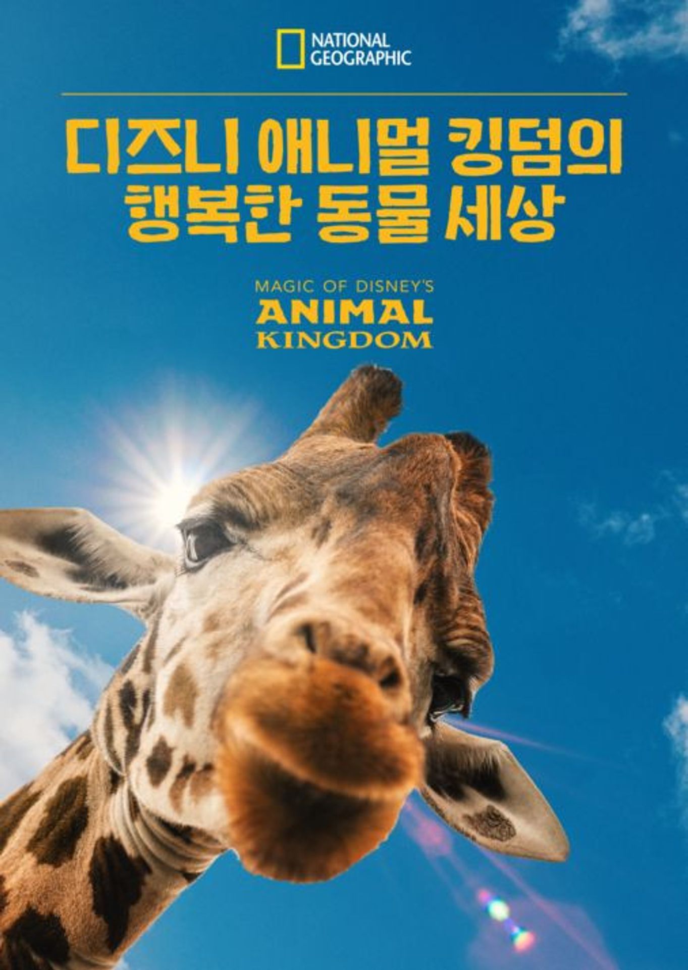 디즈니 애니멀 킹덤의 행복한 동물 세상 시즌 2