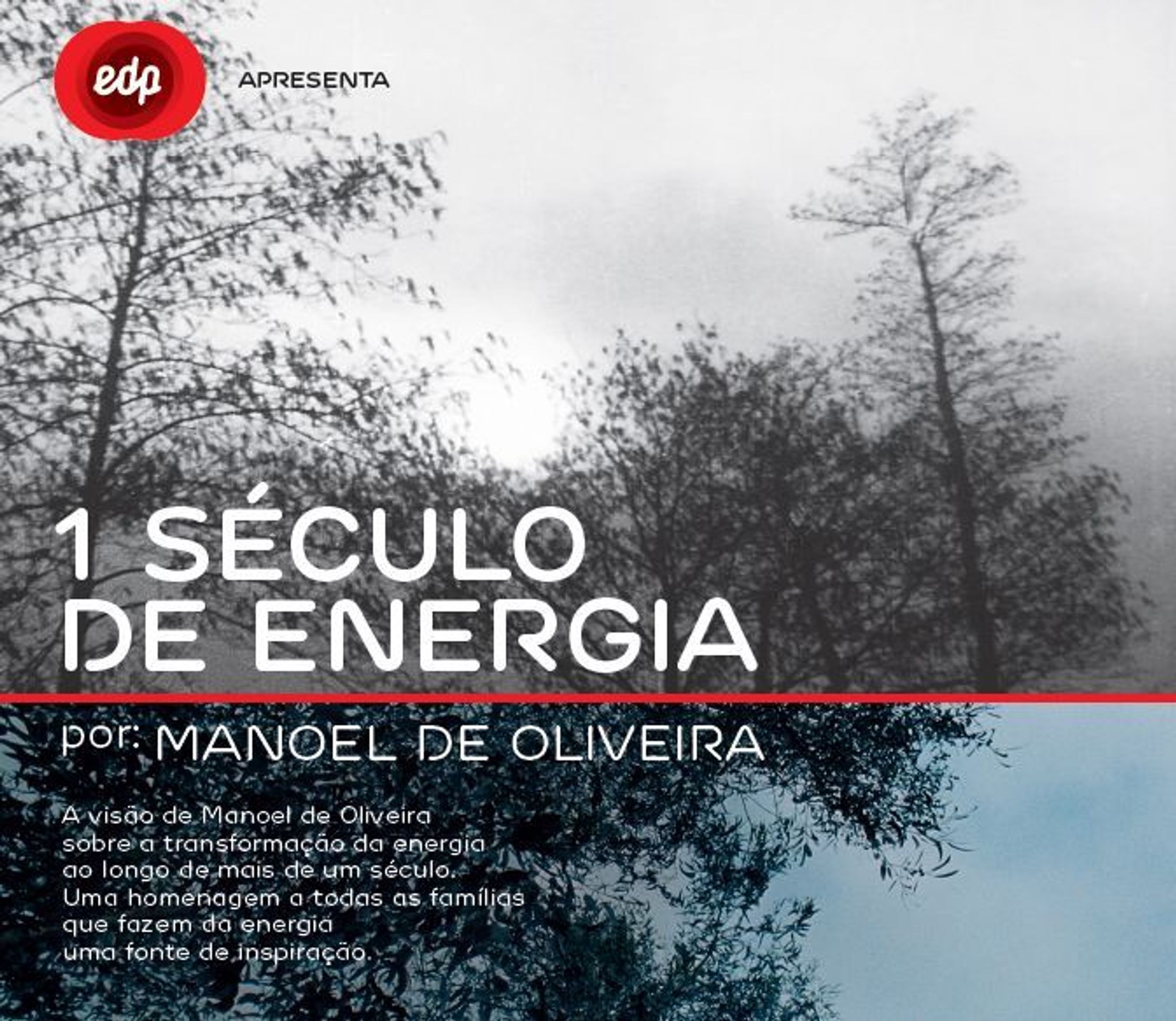힘의 한 세기