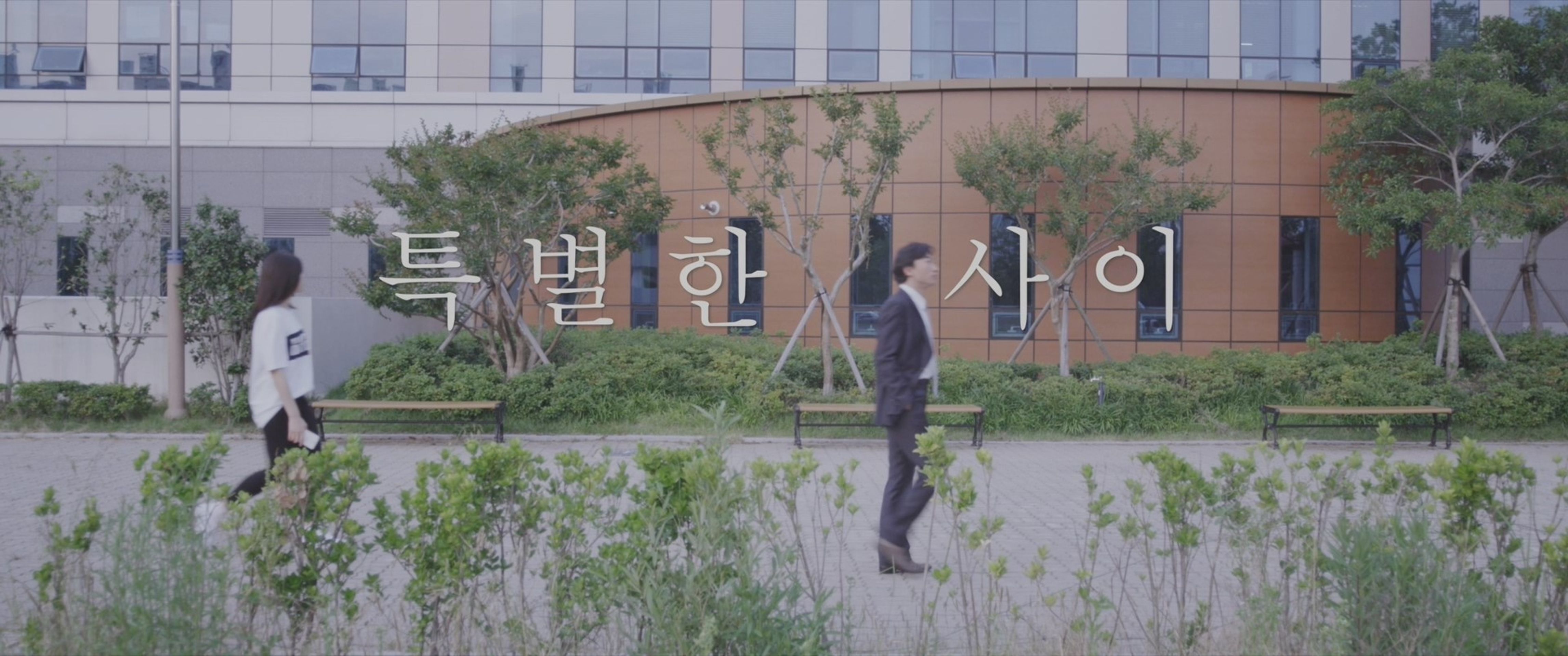 특별한 사이