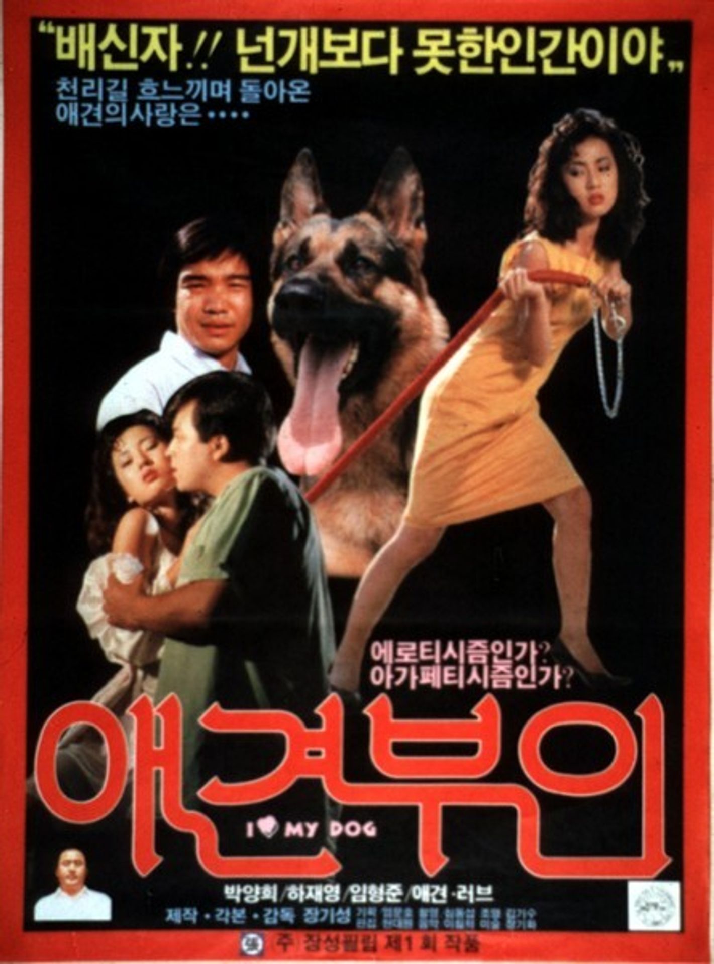 애견부인
