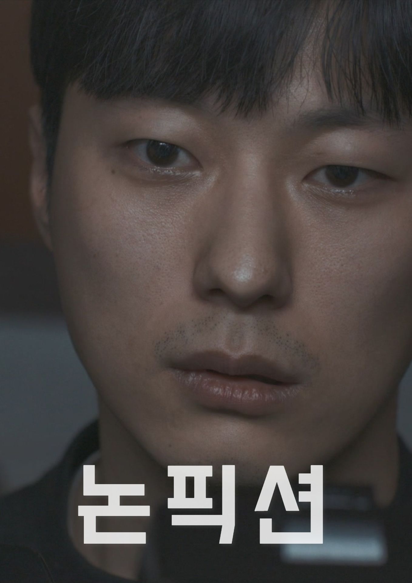 논픽션
