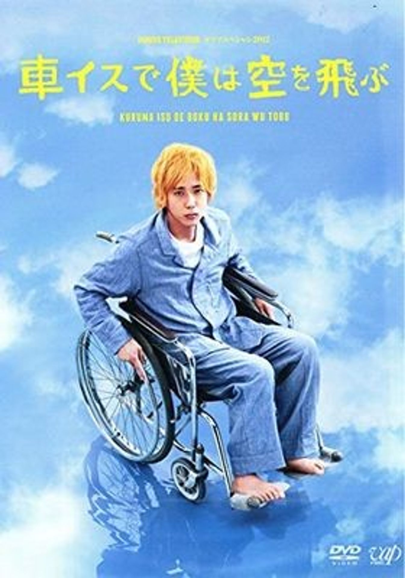 휠체어로 나는 하늘을 난다