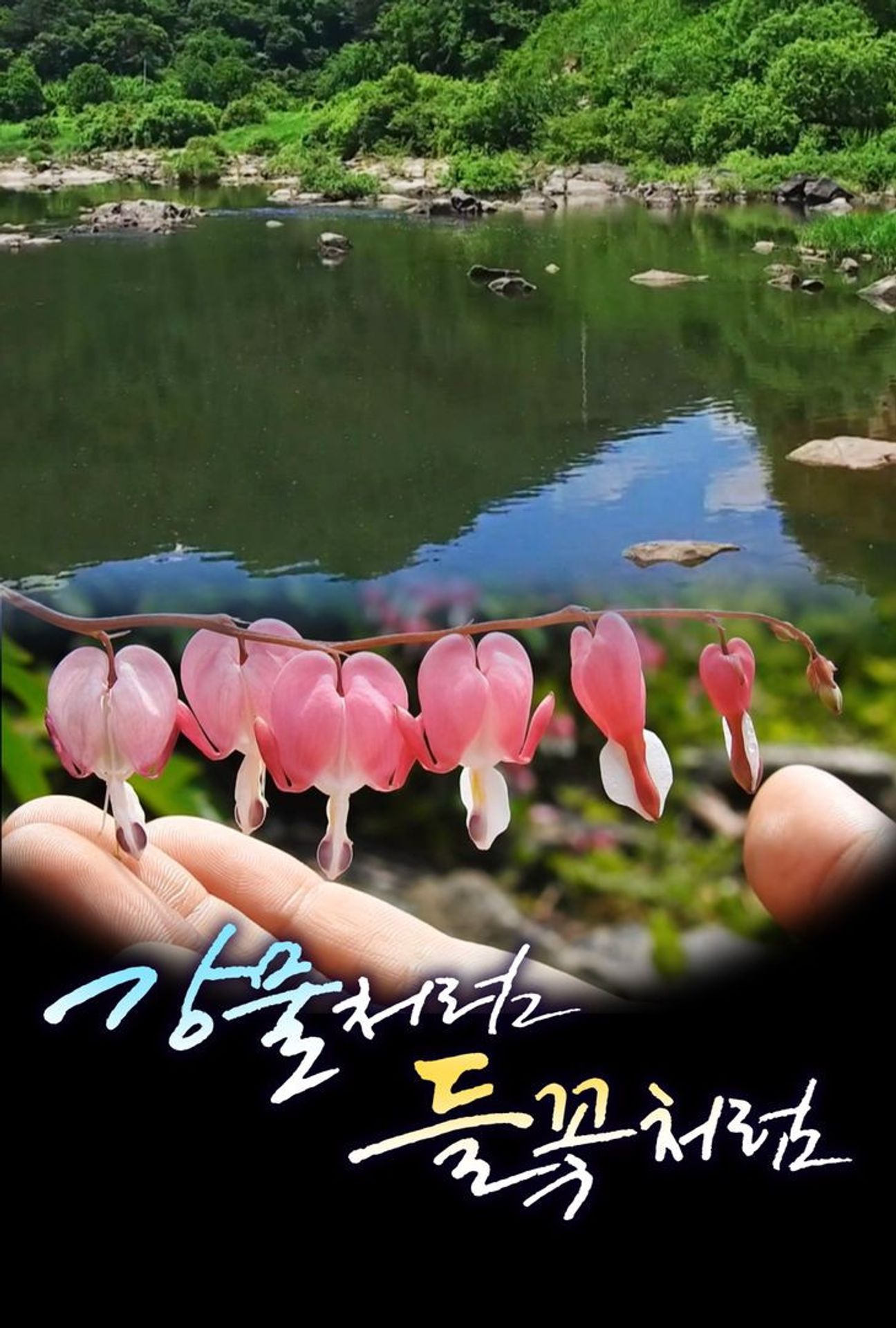 강물처럼 들꽃처럼