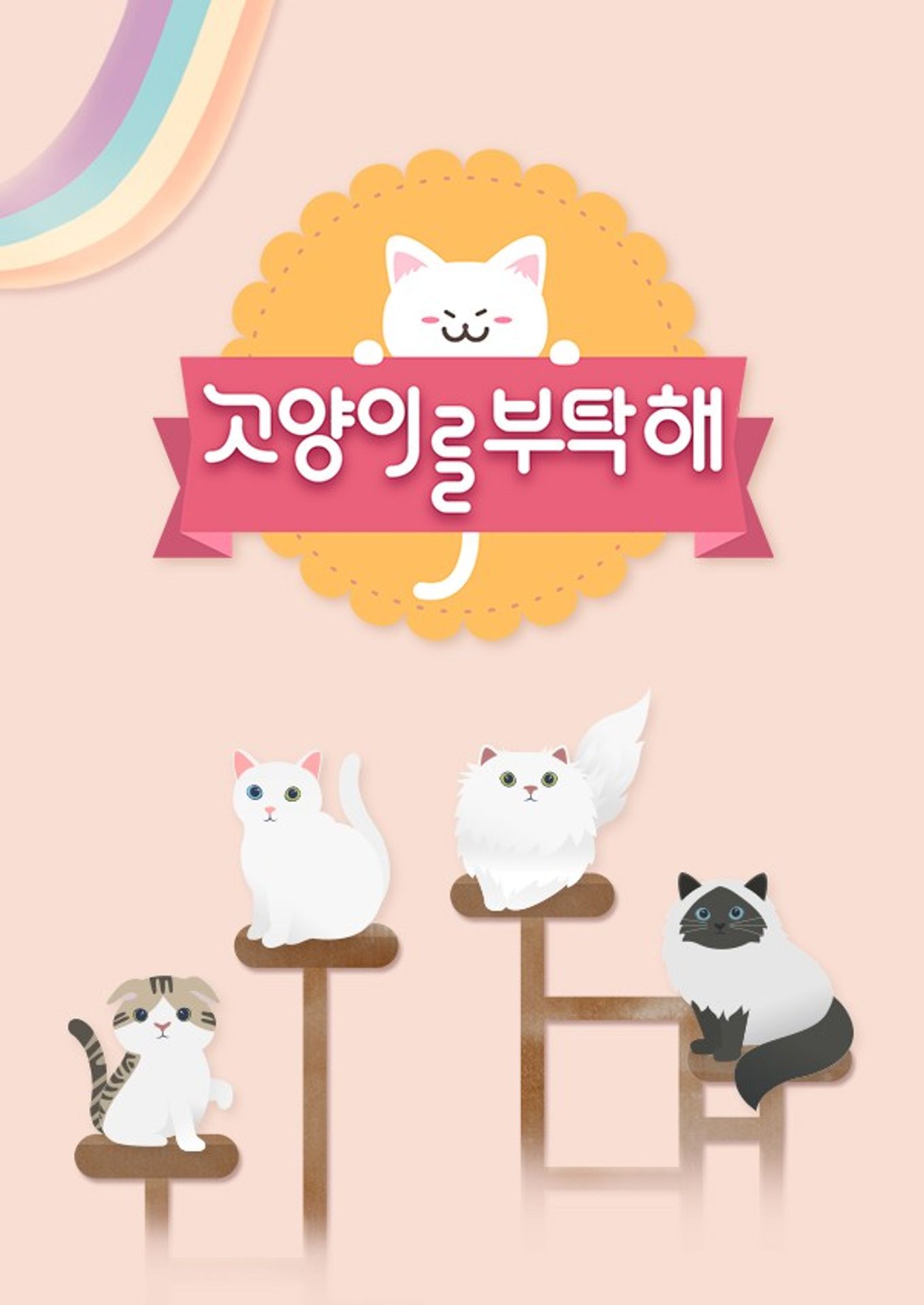 고양이를 부탁해 시즌 7
