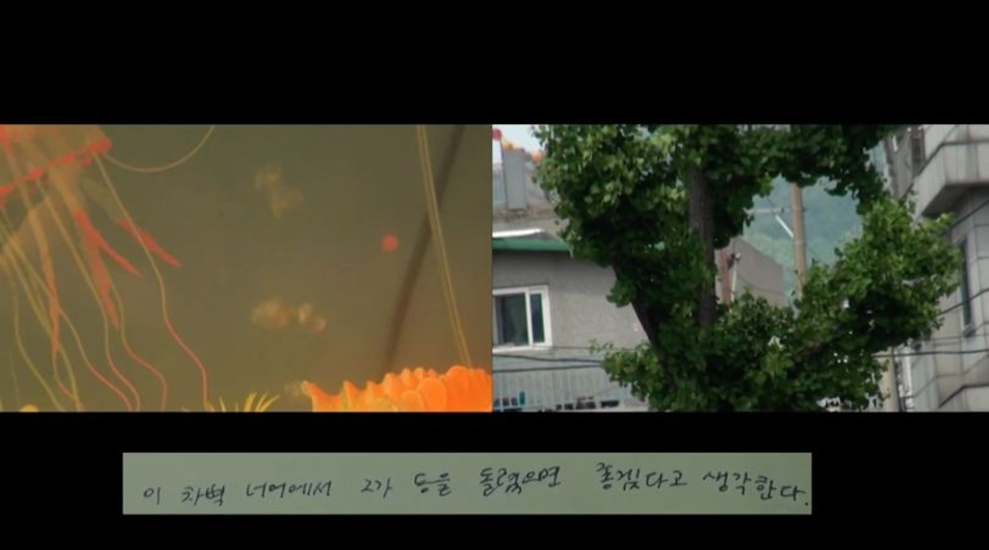 네번째 변수