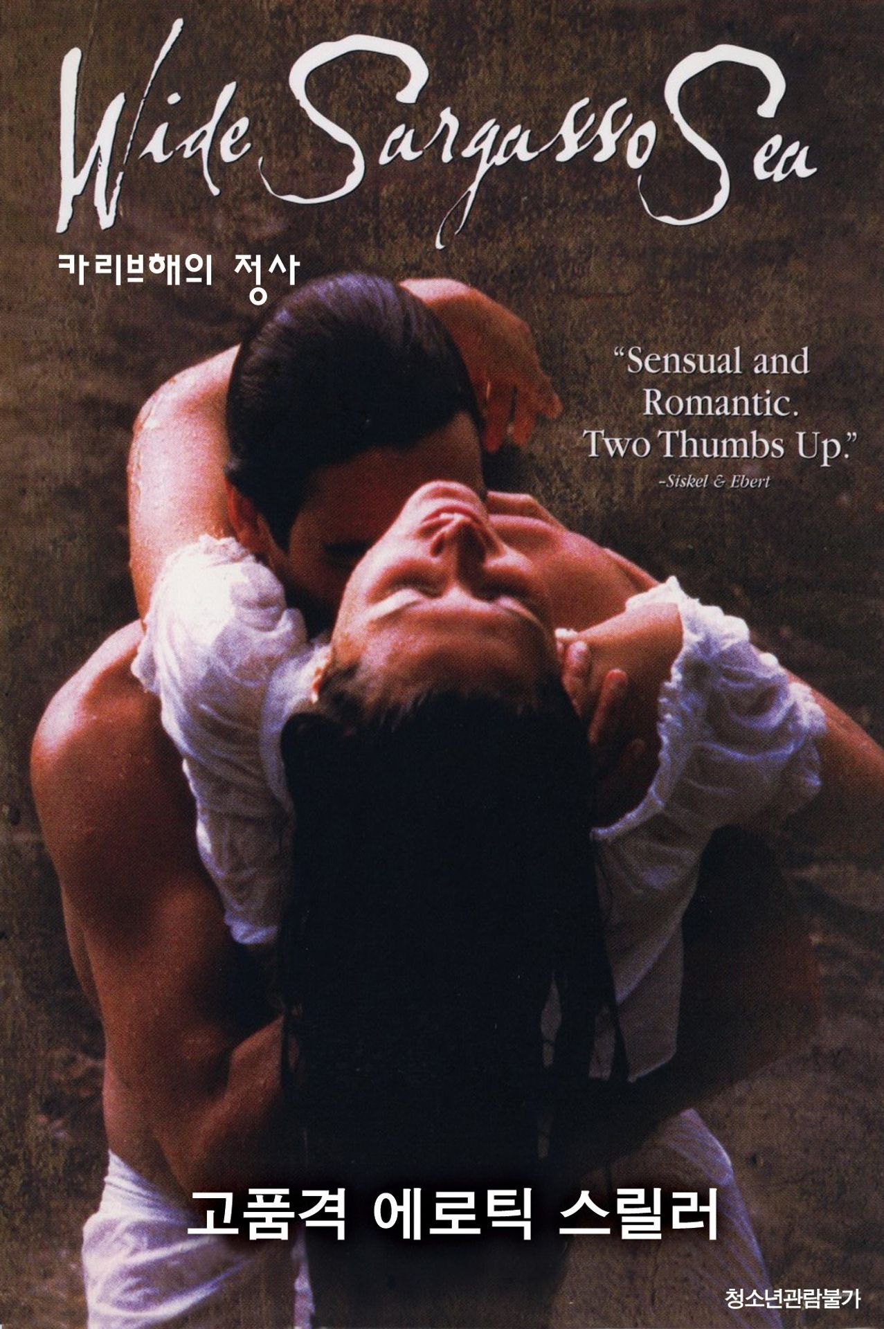카리브해의 정사