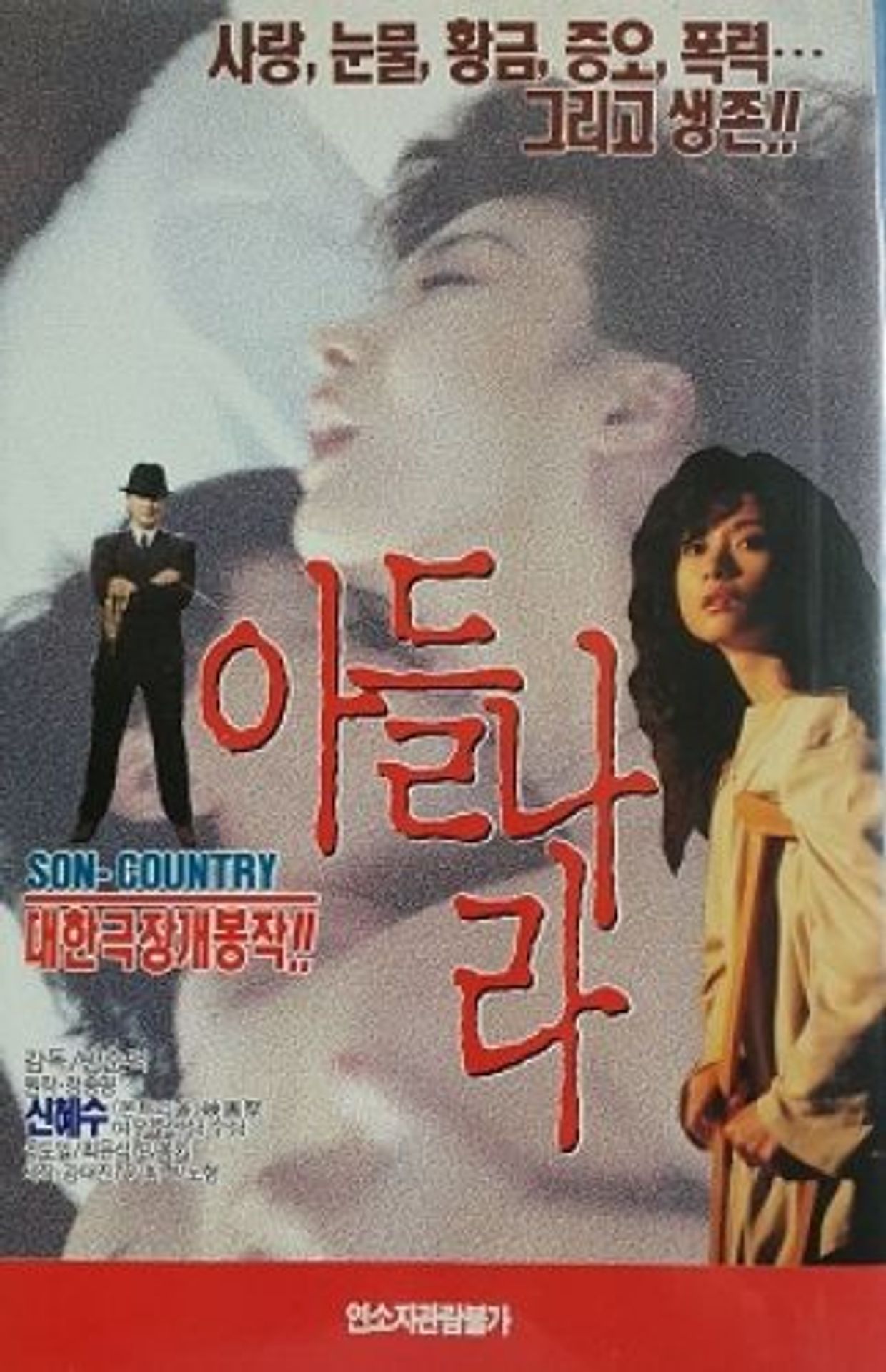 아들나라