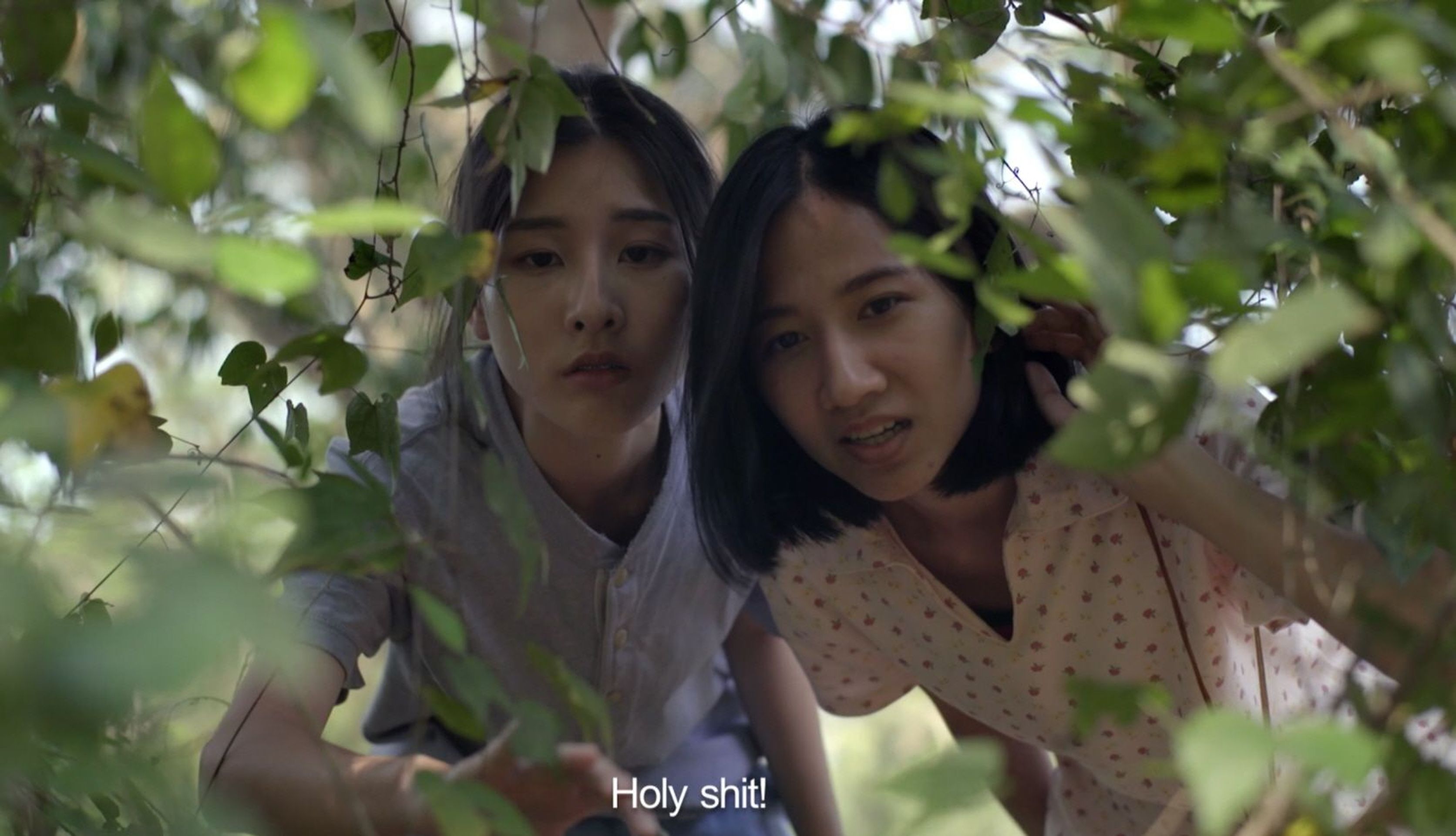 천상의 피조물