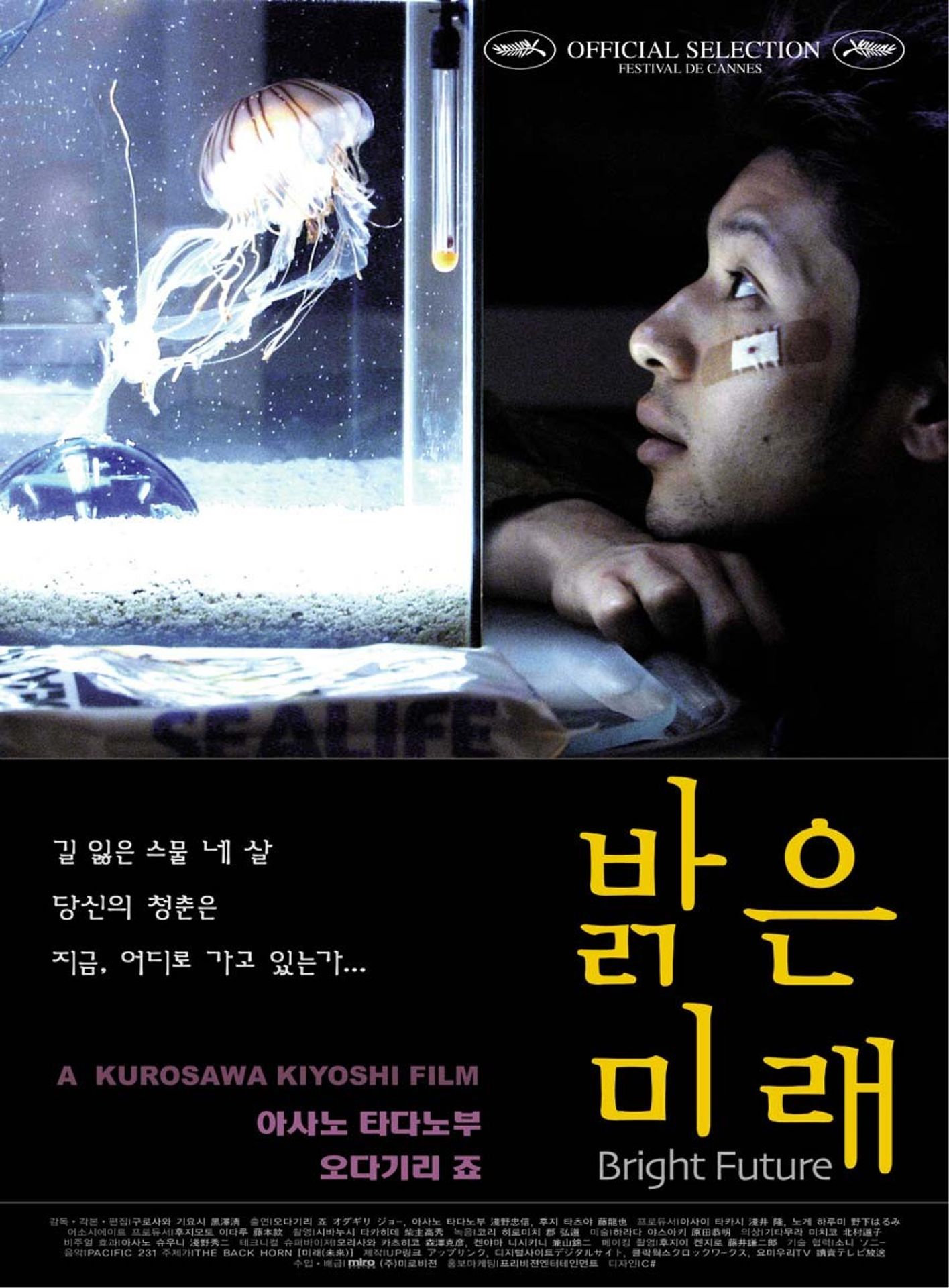 밝은 미래