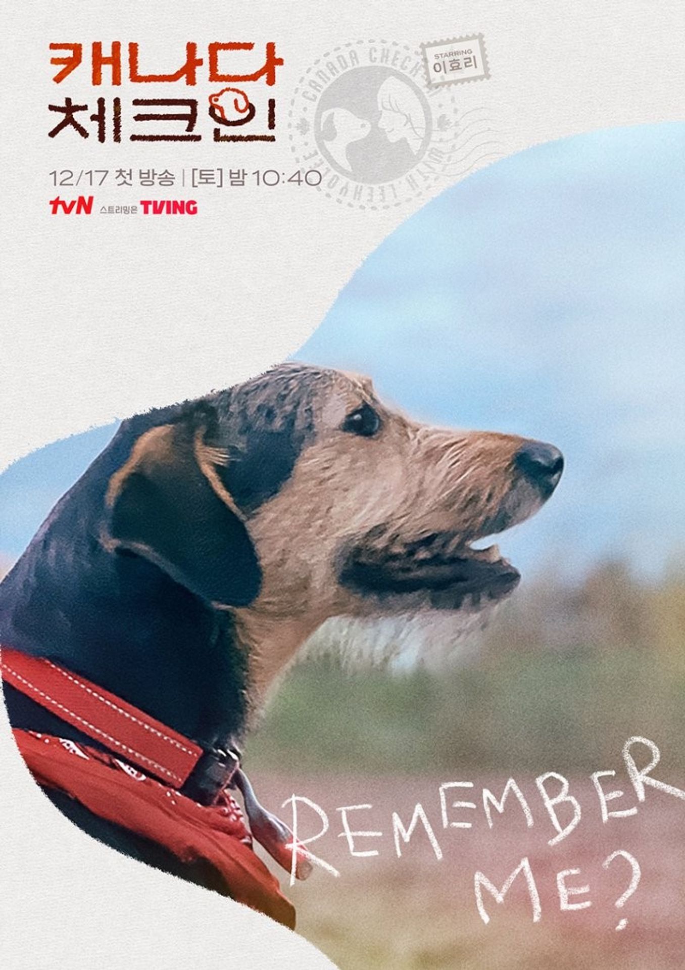 캐나다 체크인