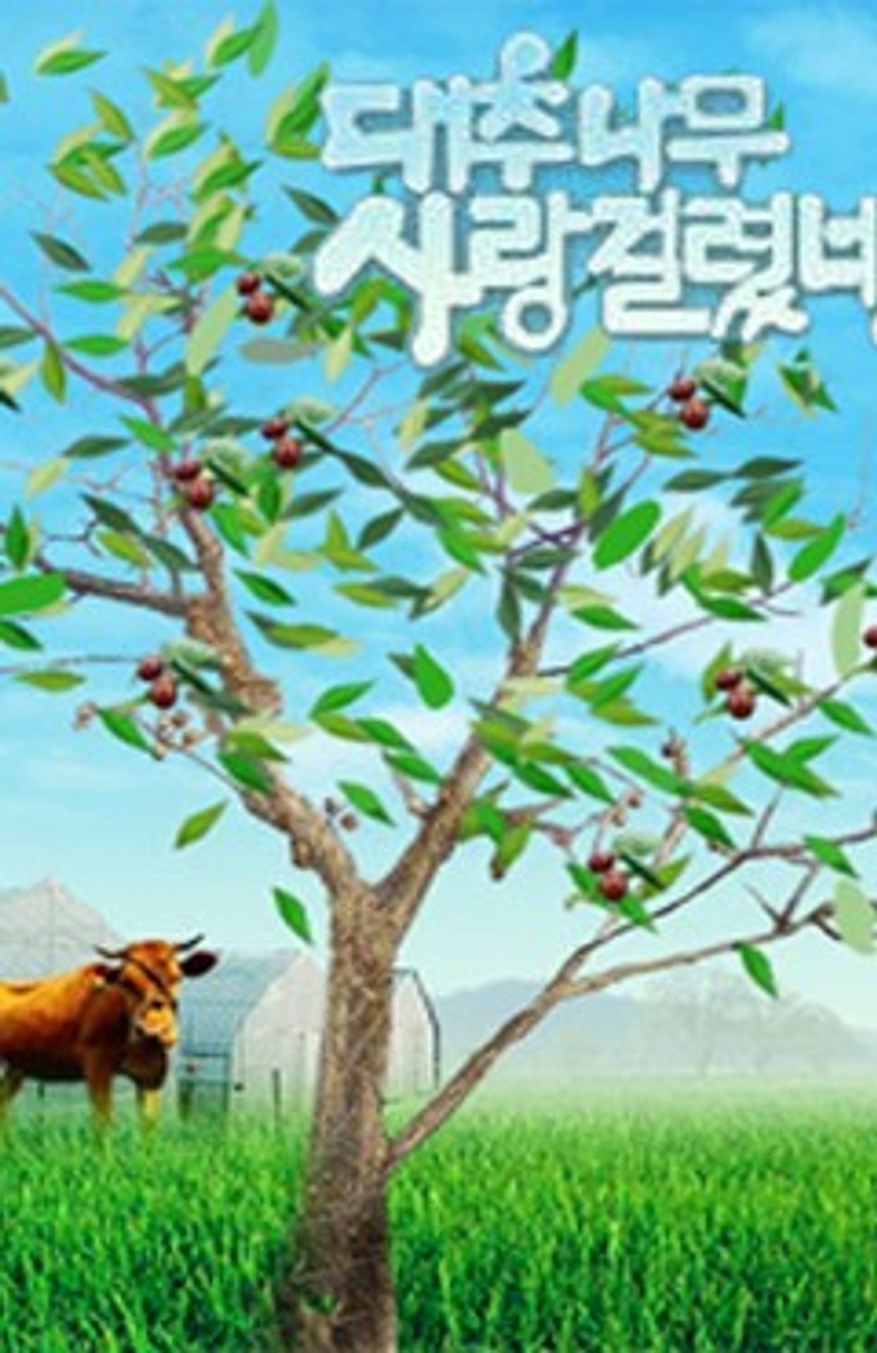 대추나무 사랑 걸렸네