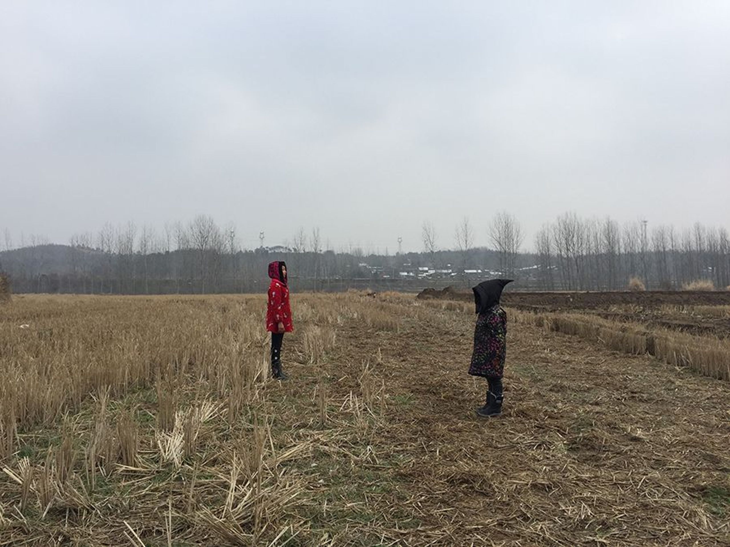 자화상: 47km 너머의 스핑크스