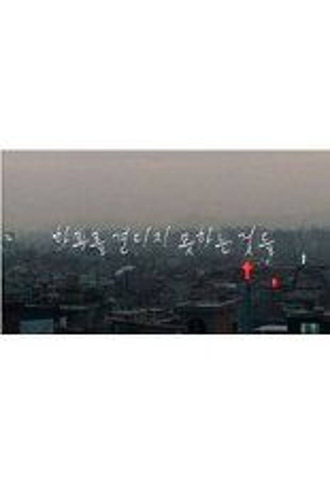 하루를 견디지 못하는 것들