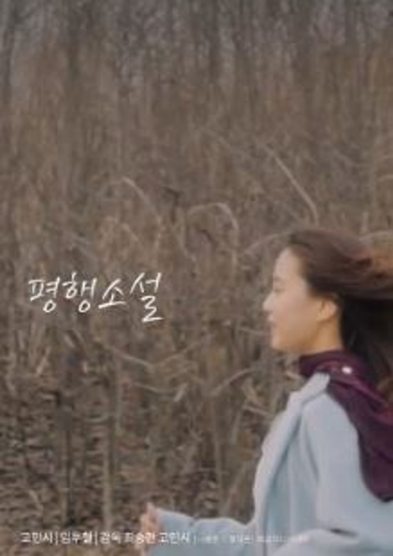 평행소설