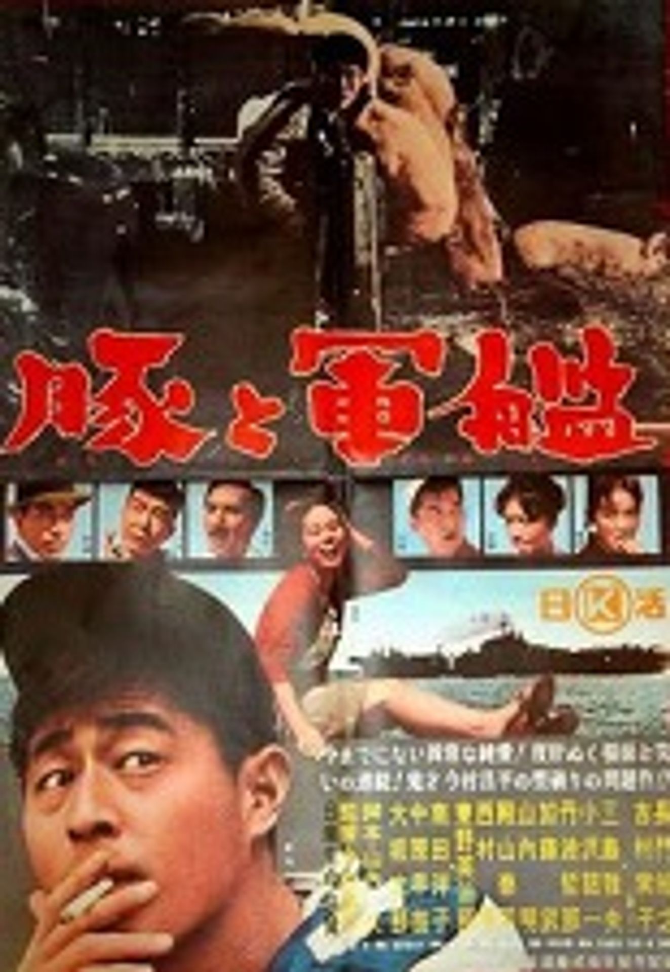돼지와 군함