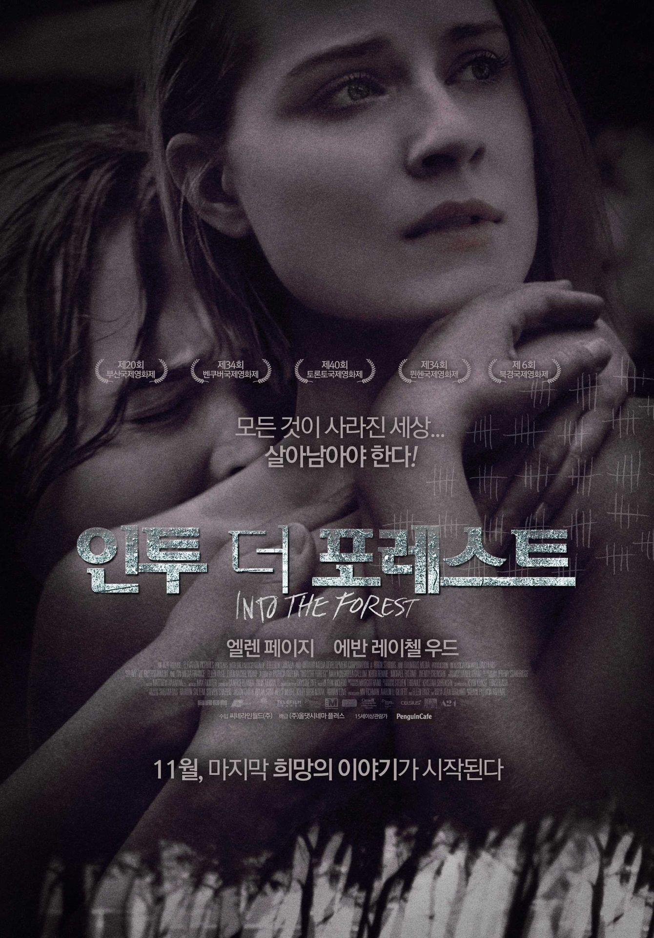 인투 더 포레스트