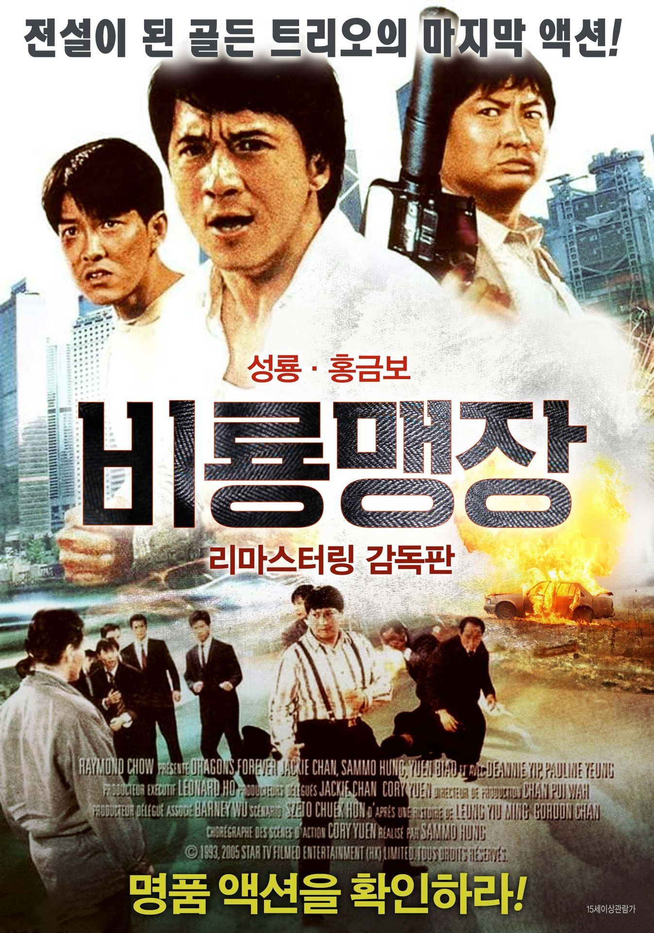 비룡맹장