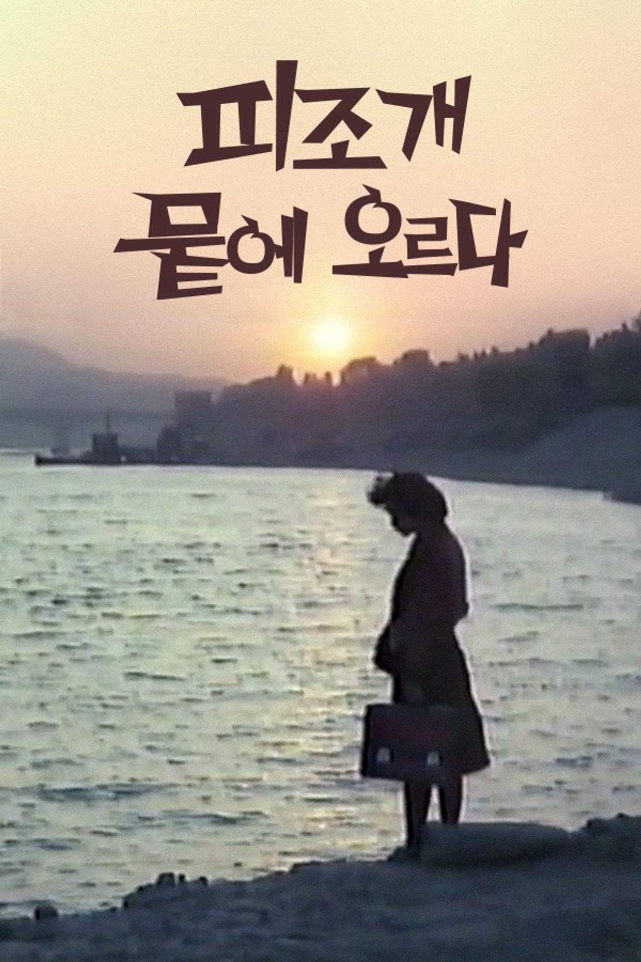 피조개 뭍에 오르다
