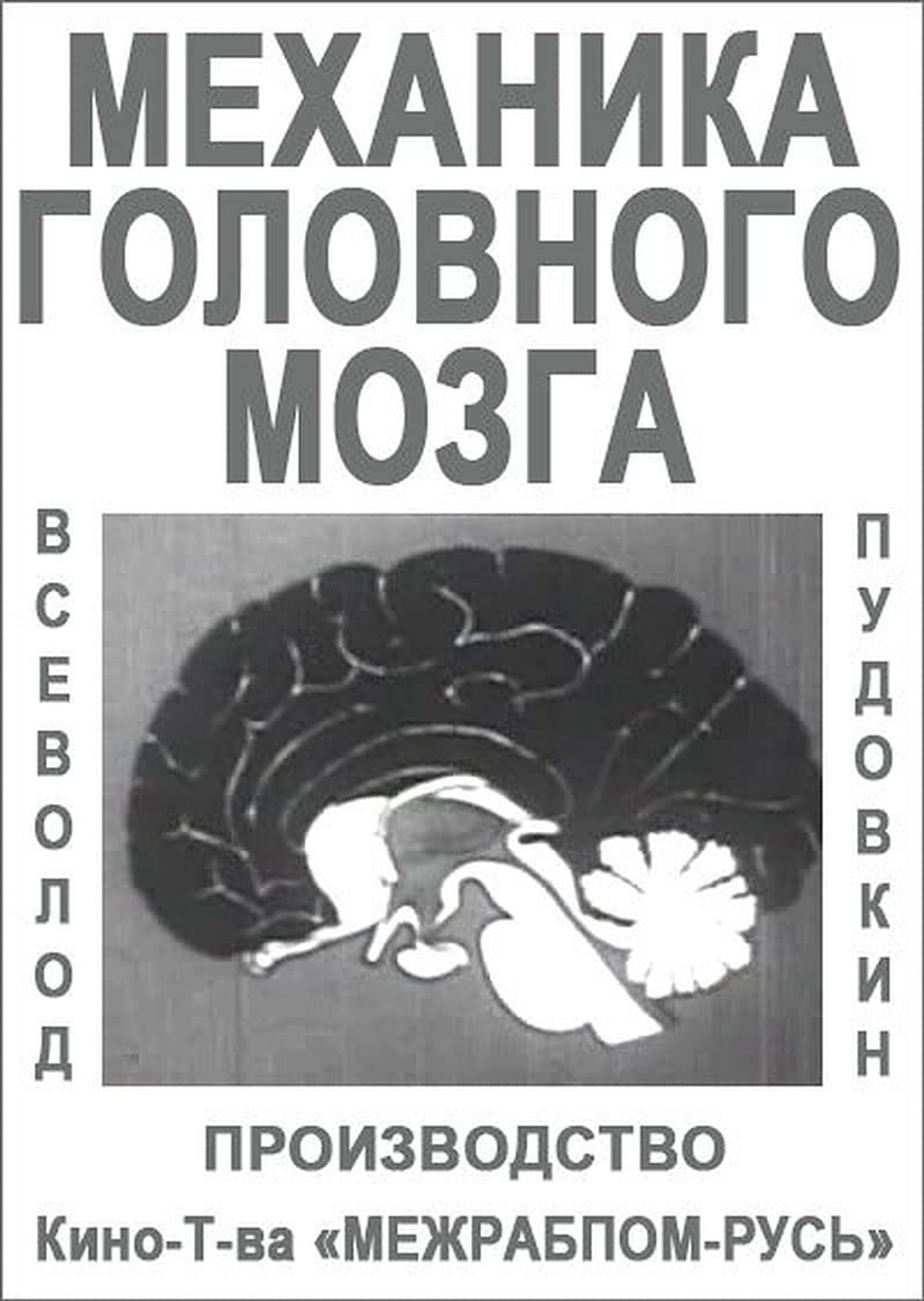 메카닉 오브 더 브레인