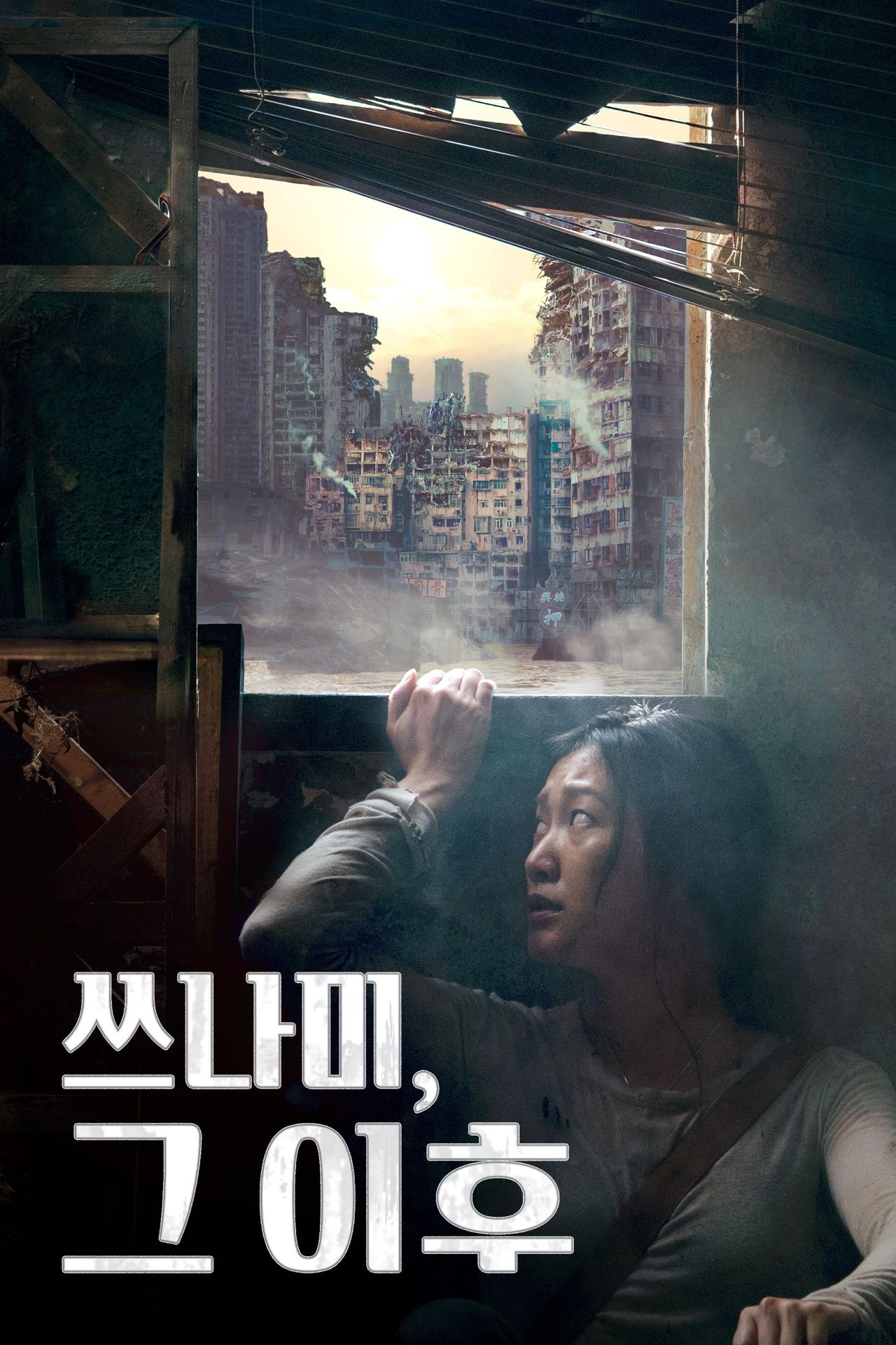 쓰나미, 그 이후