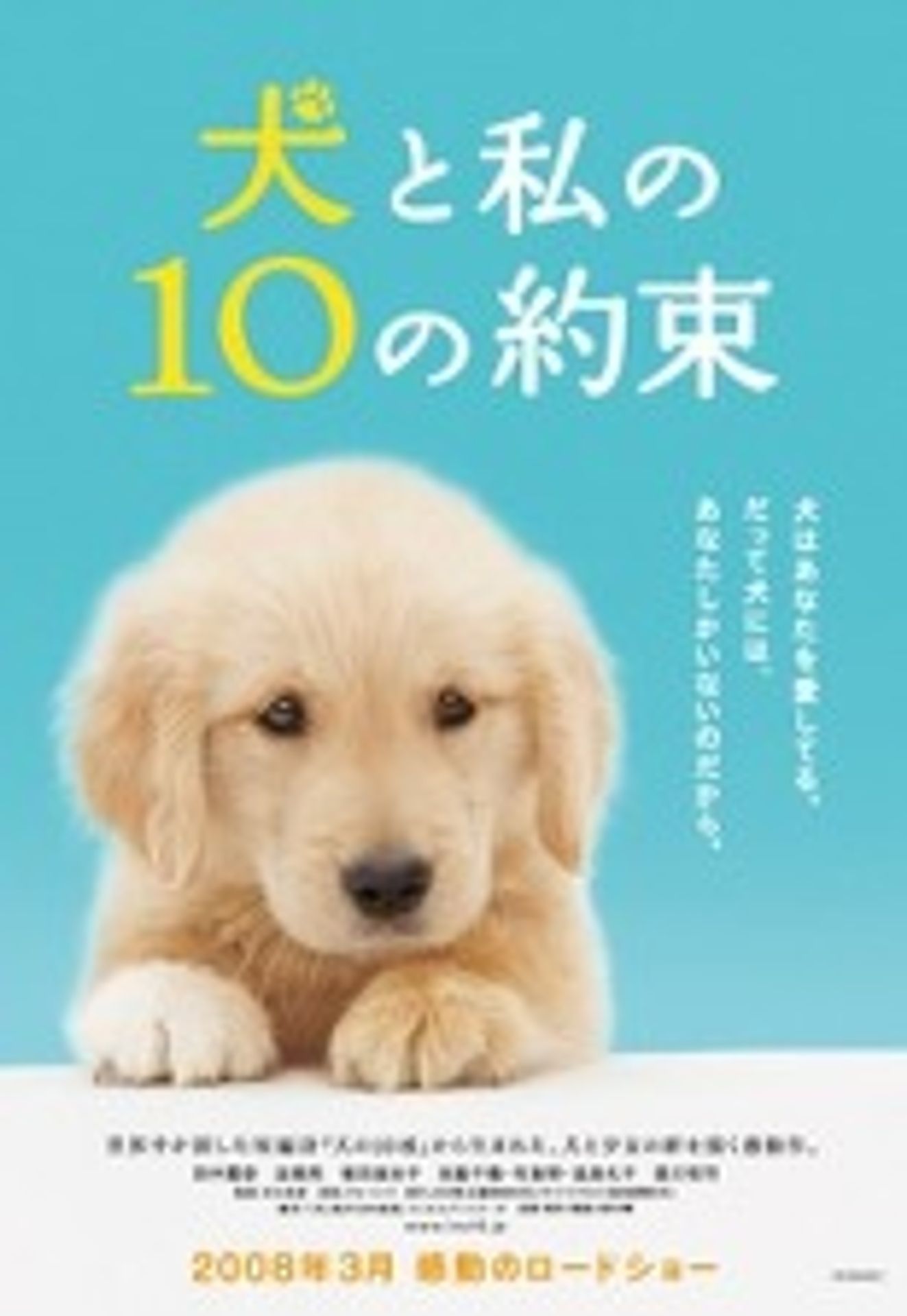 강아지와 나의 10가지 약속