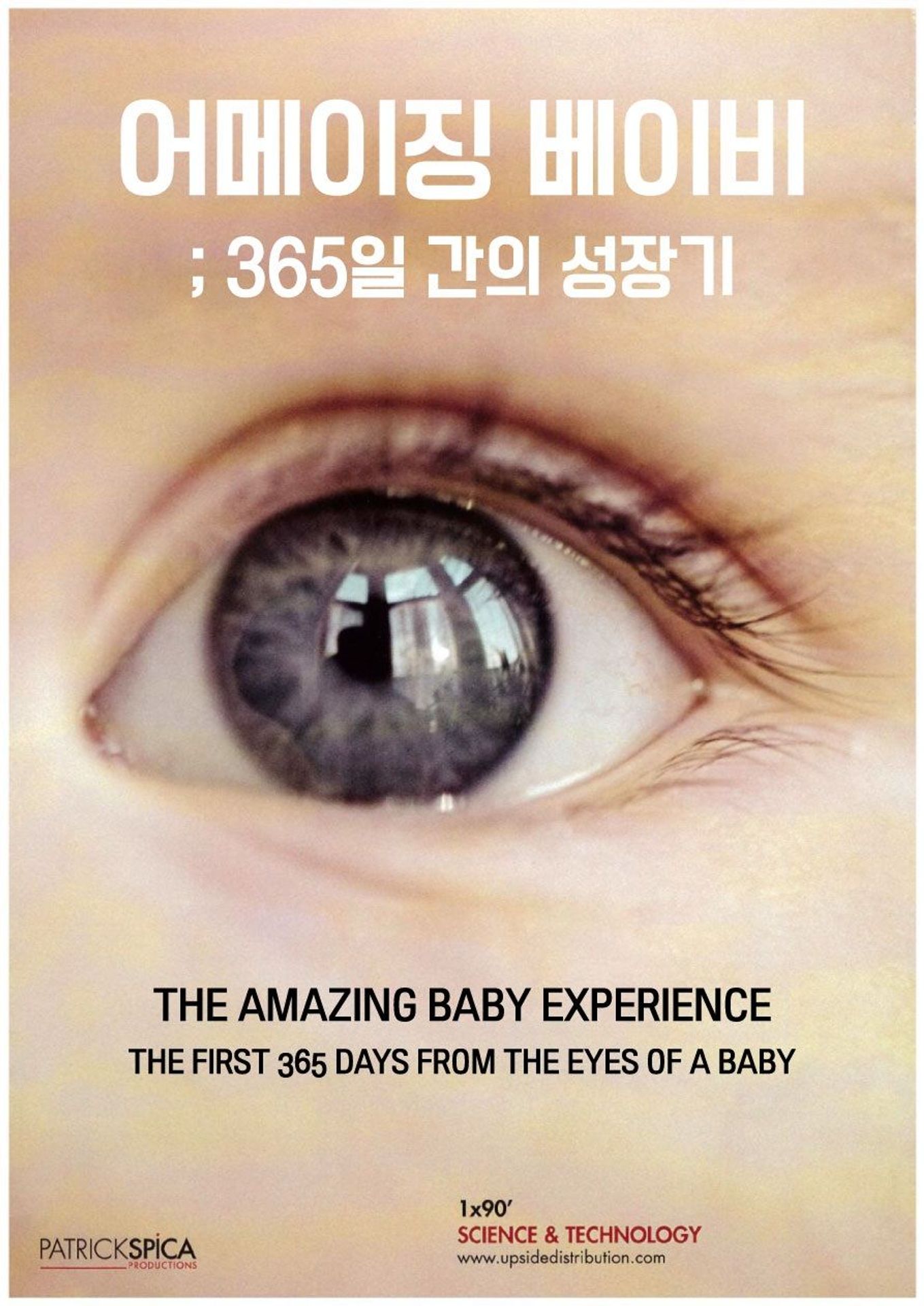 어메이징 베이비: 365일 간의 성장기