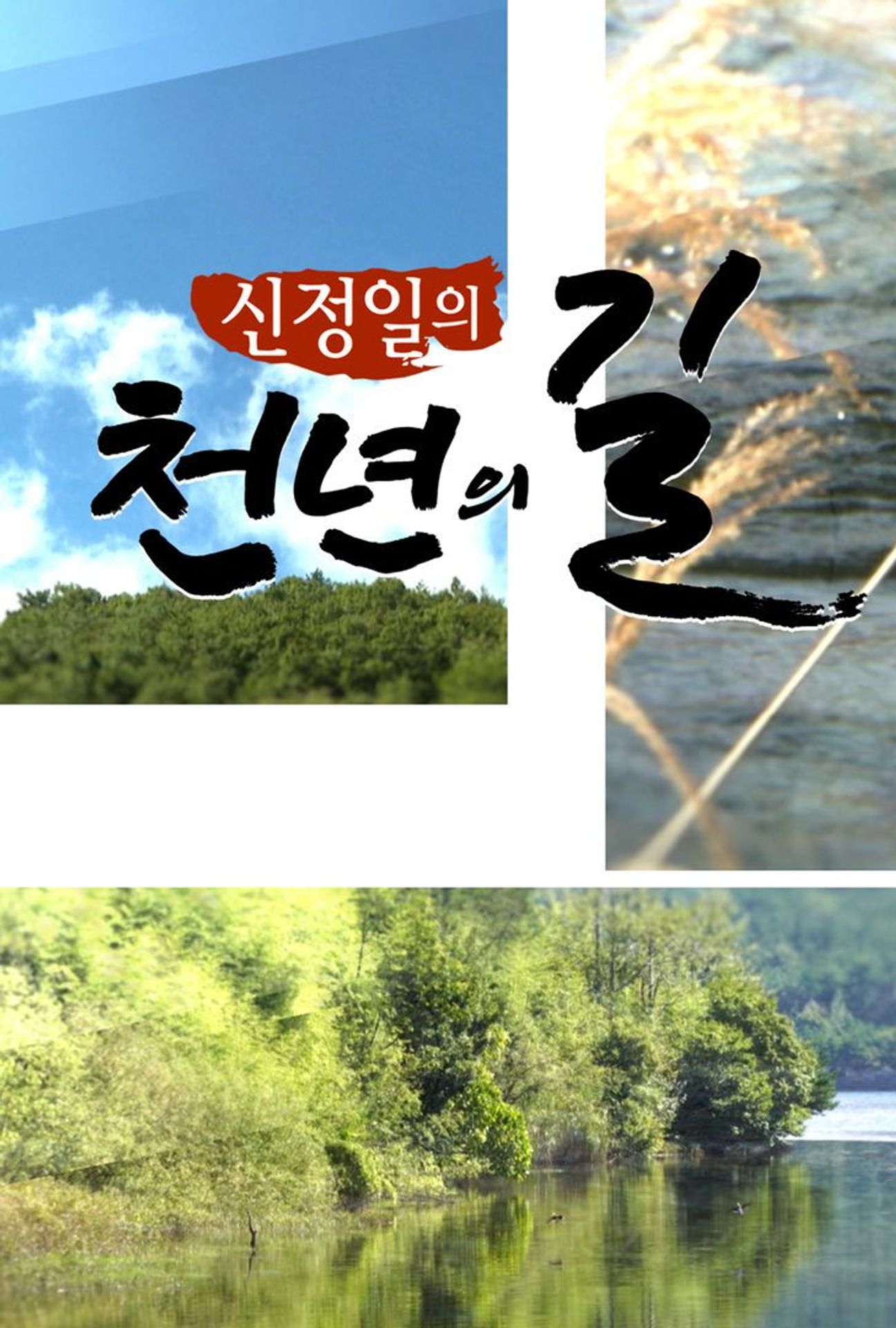 신정일의 천년의 길