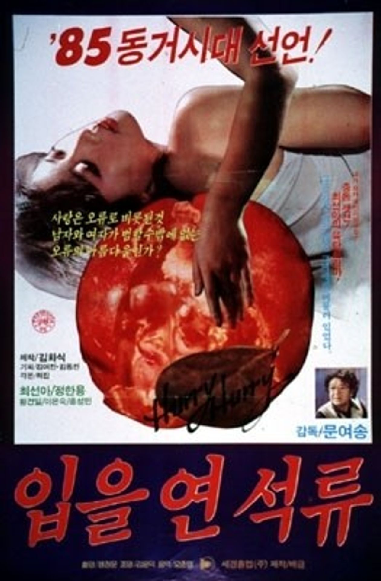 입을 연 석류