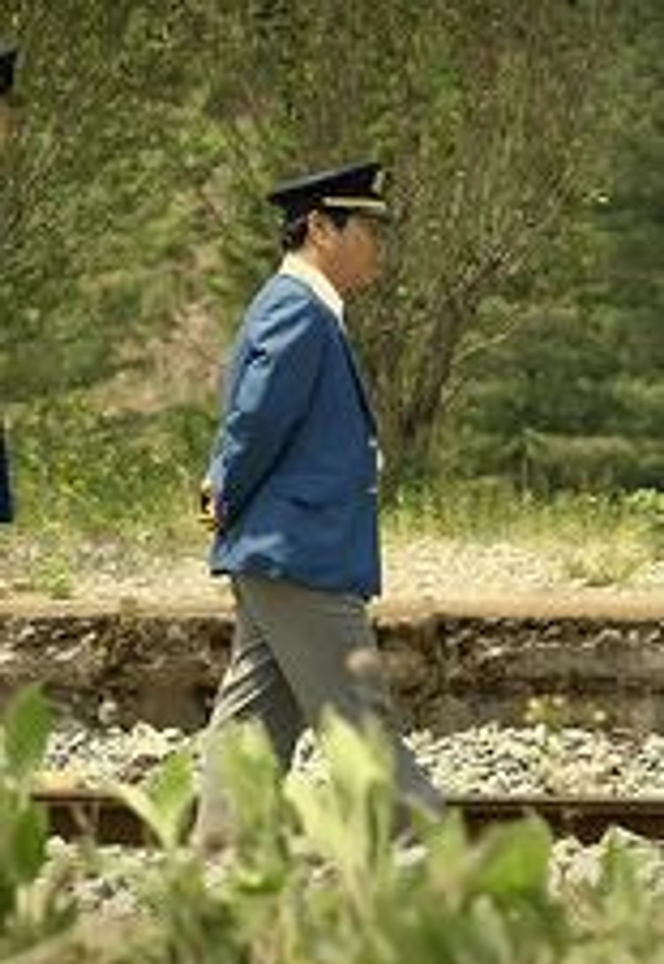 꽃피는 철길