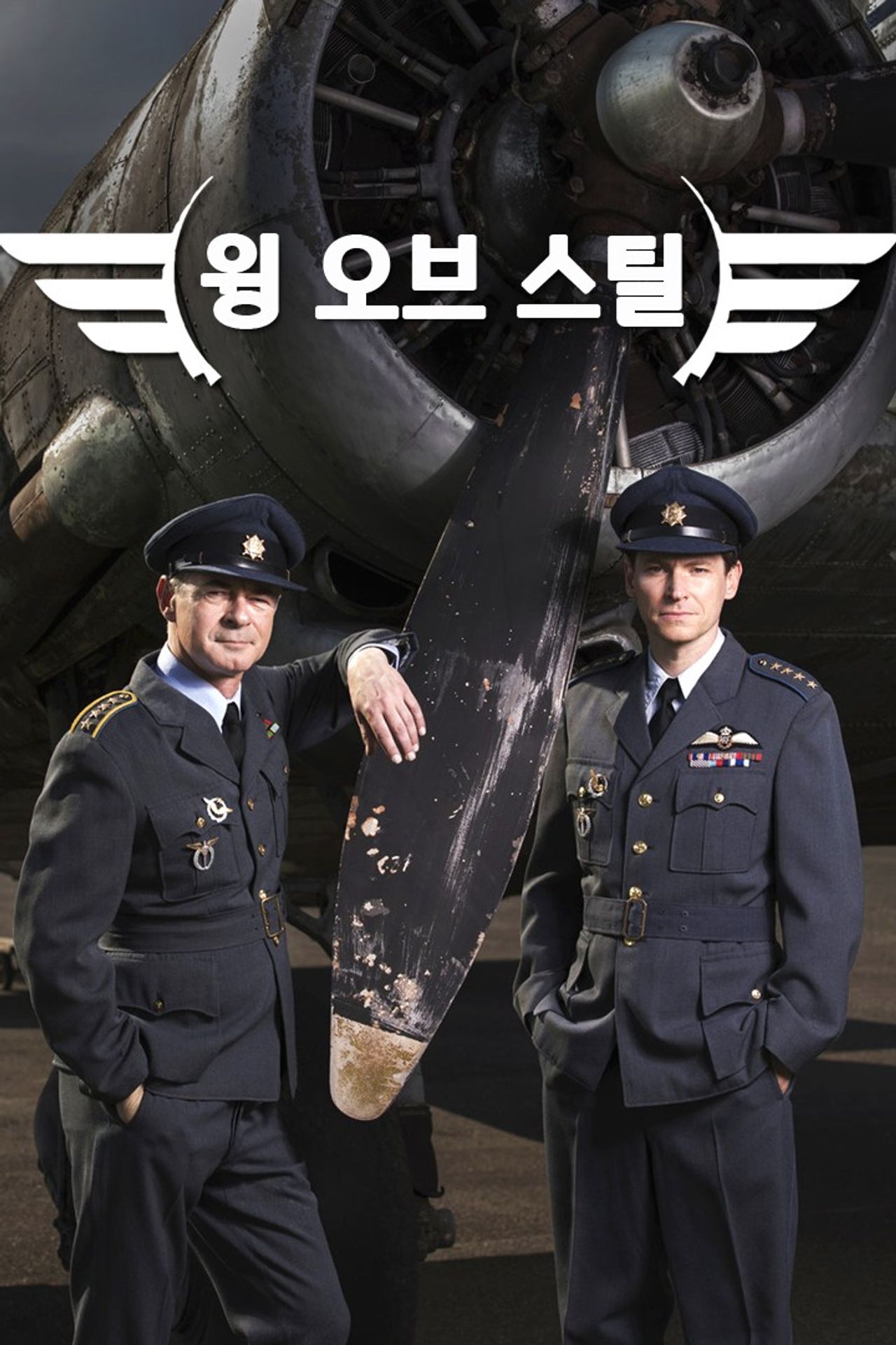 윙 오브 스틸