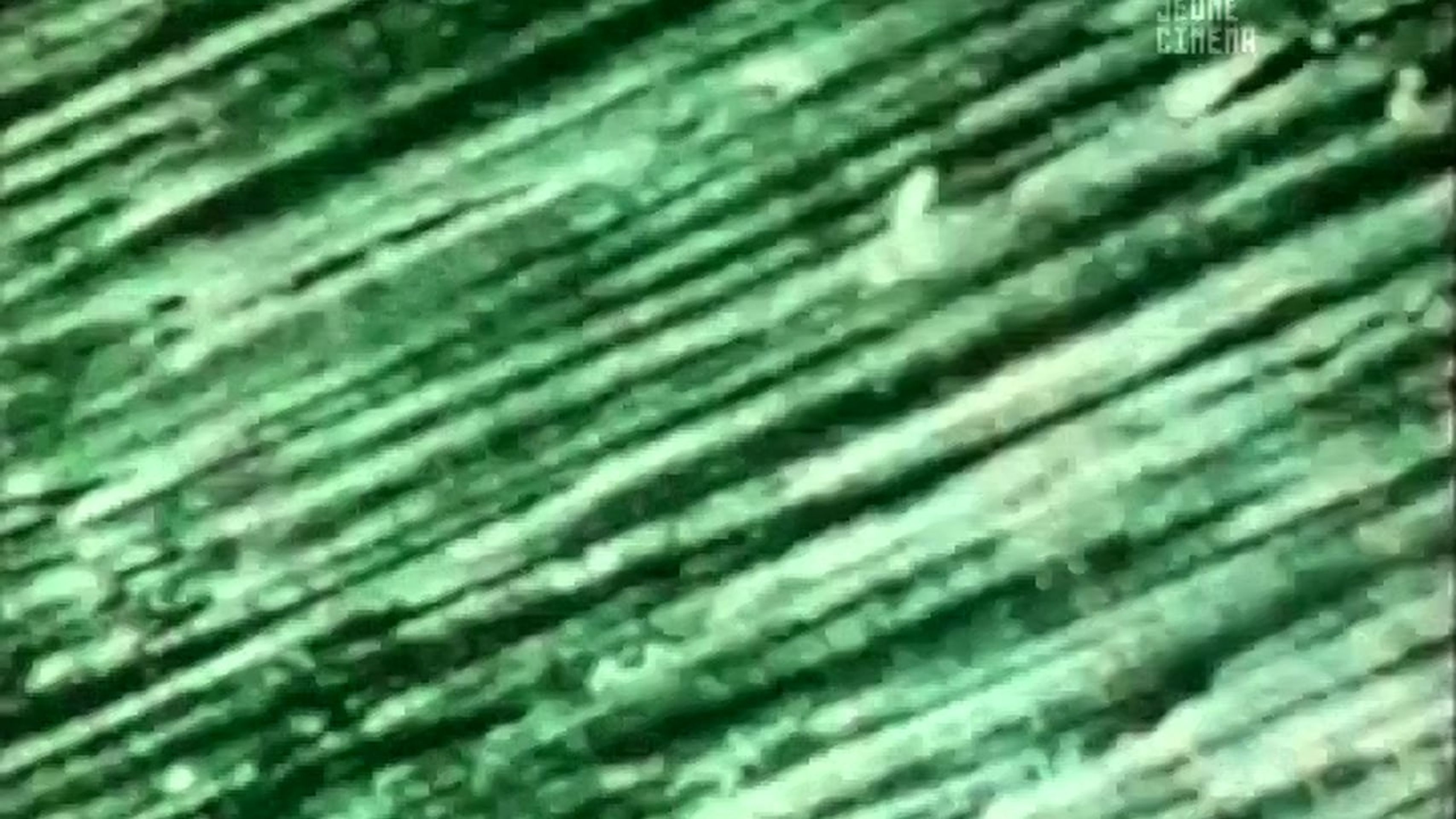 유로파