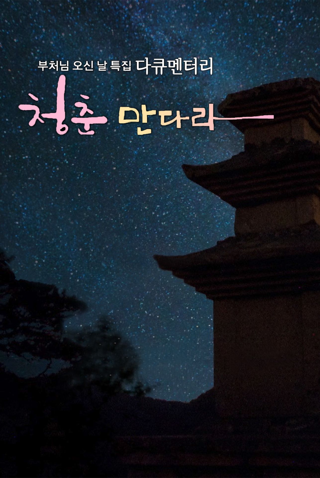 부처님 오신 날 특집 청춘 만다라