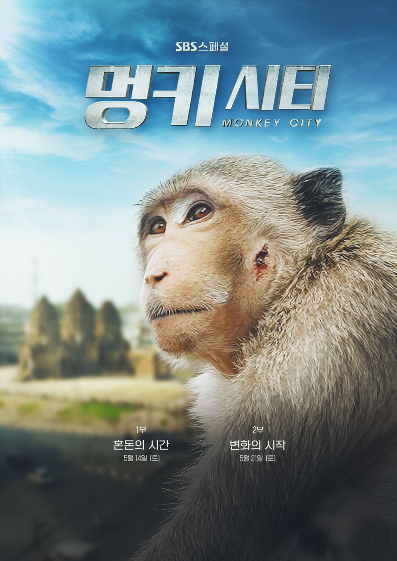 멍키 시티