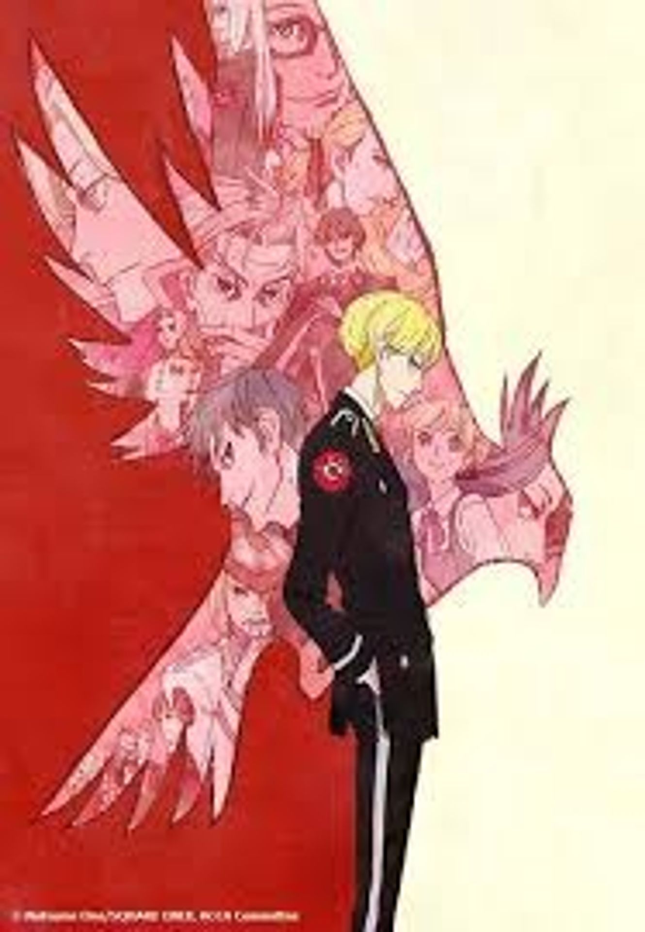 ACCA 13구 감찰과