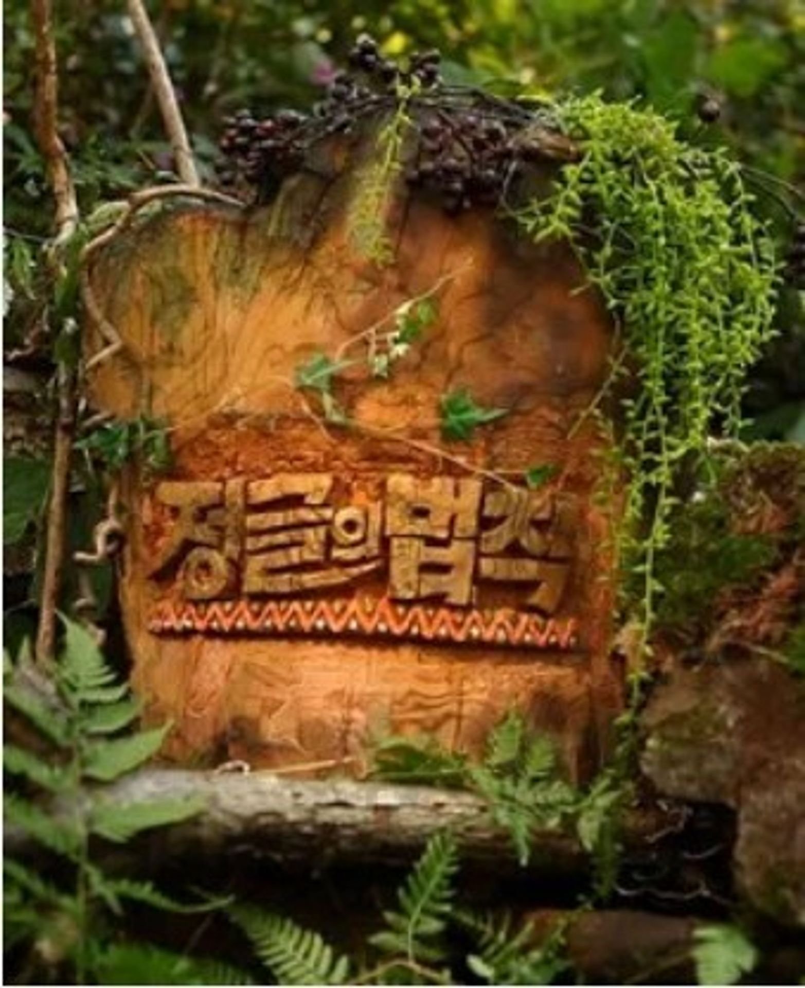 정글의 법칙