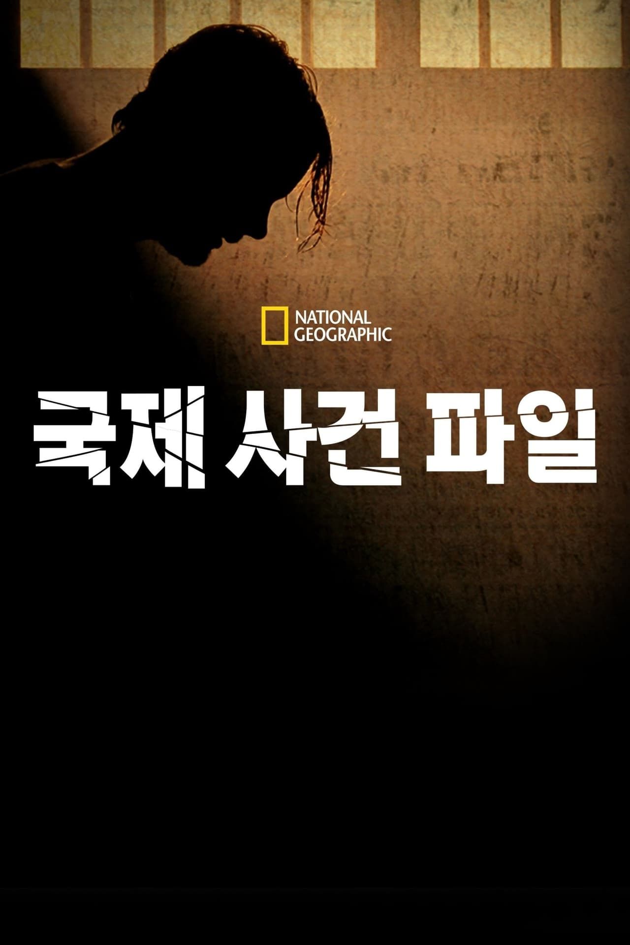 국제 사건 파일 시즌 12