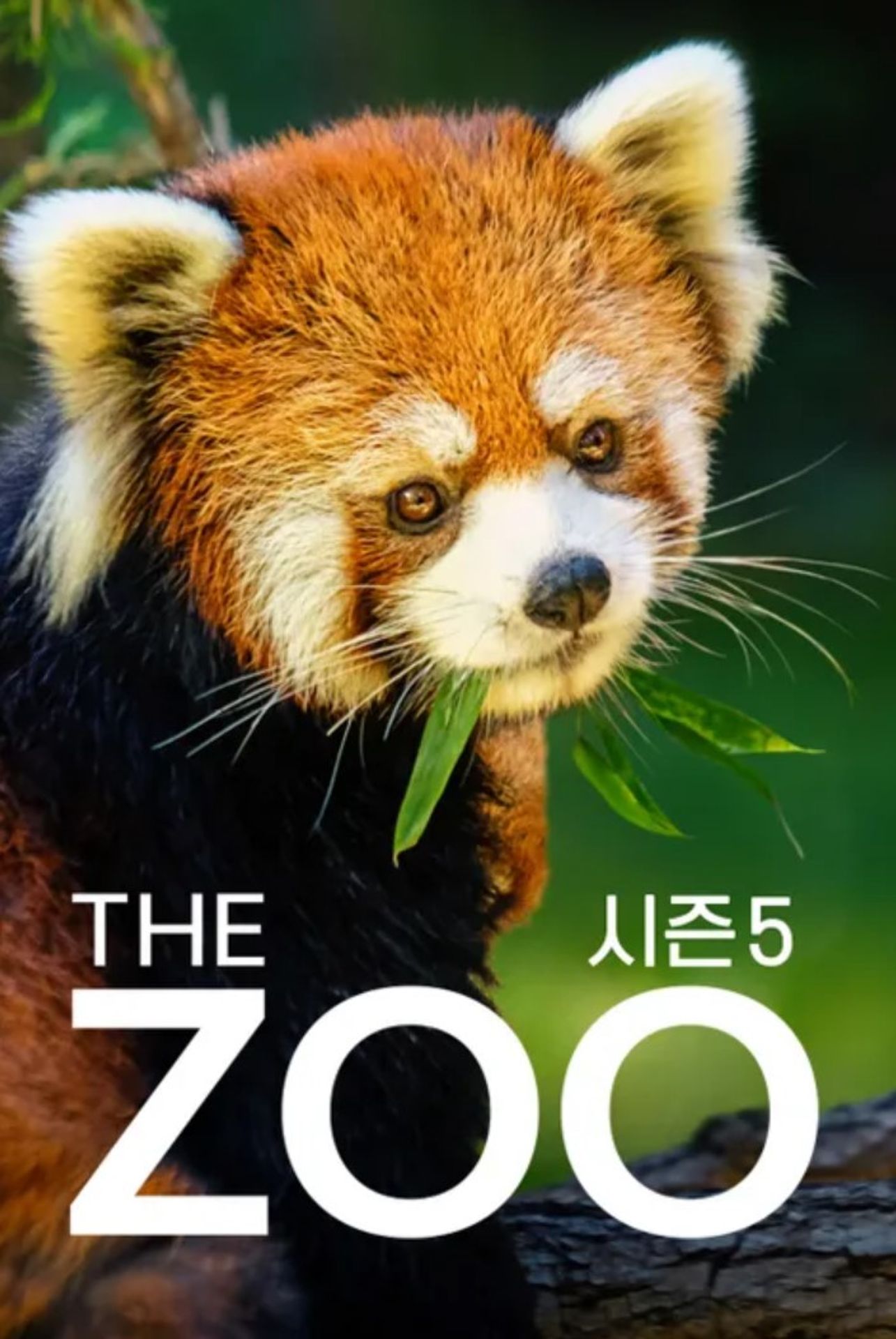 THE ZOO 시즌 5