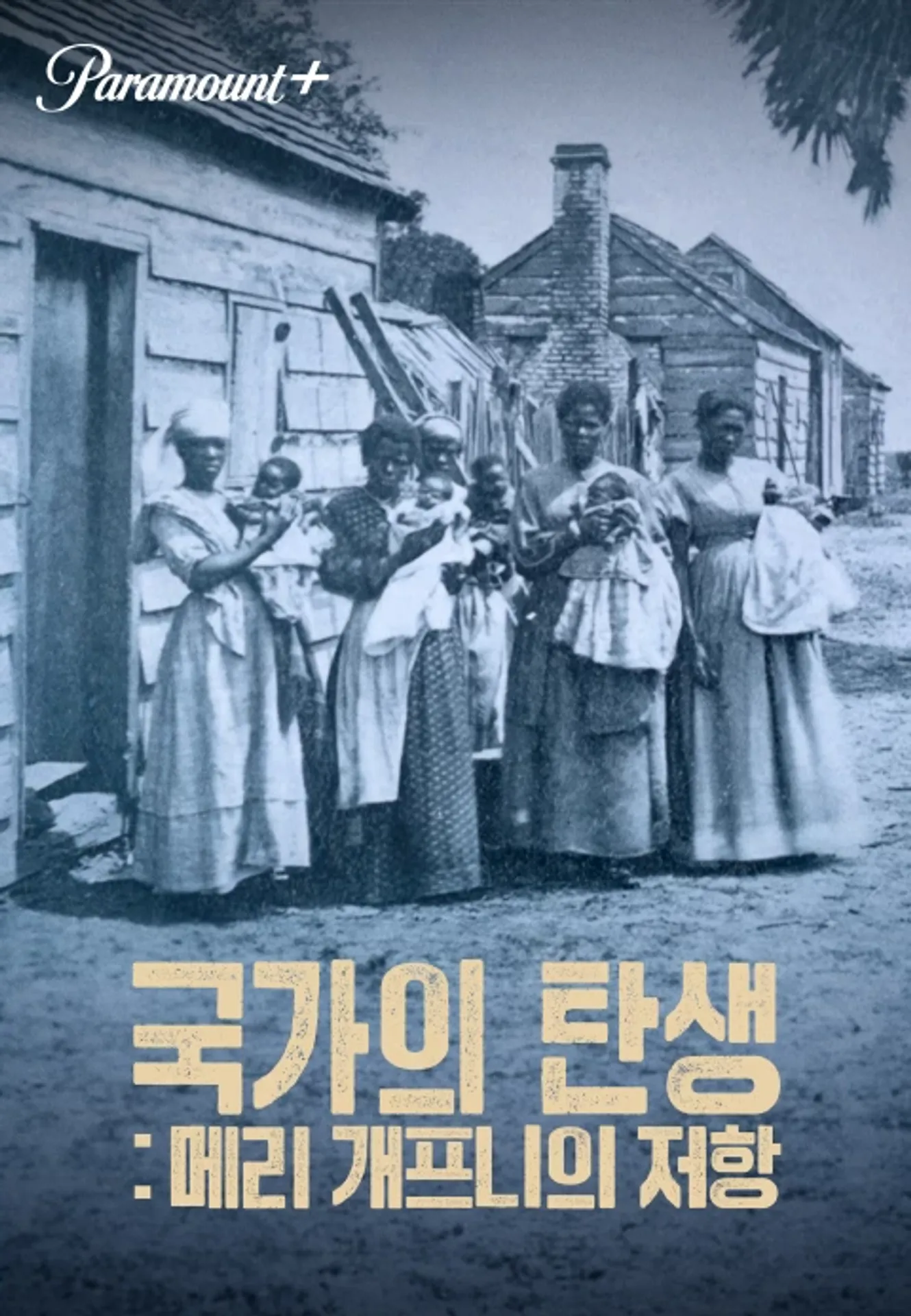 국가의 탄생: 메리 개프니의 저항