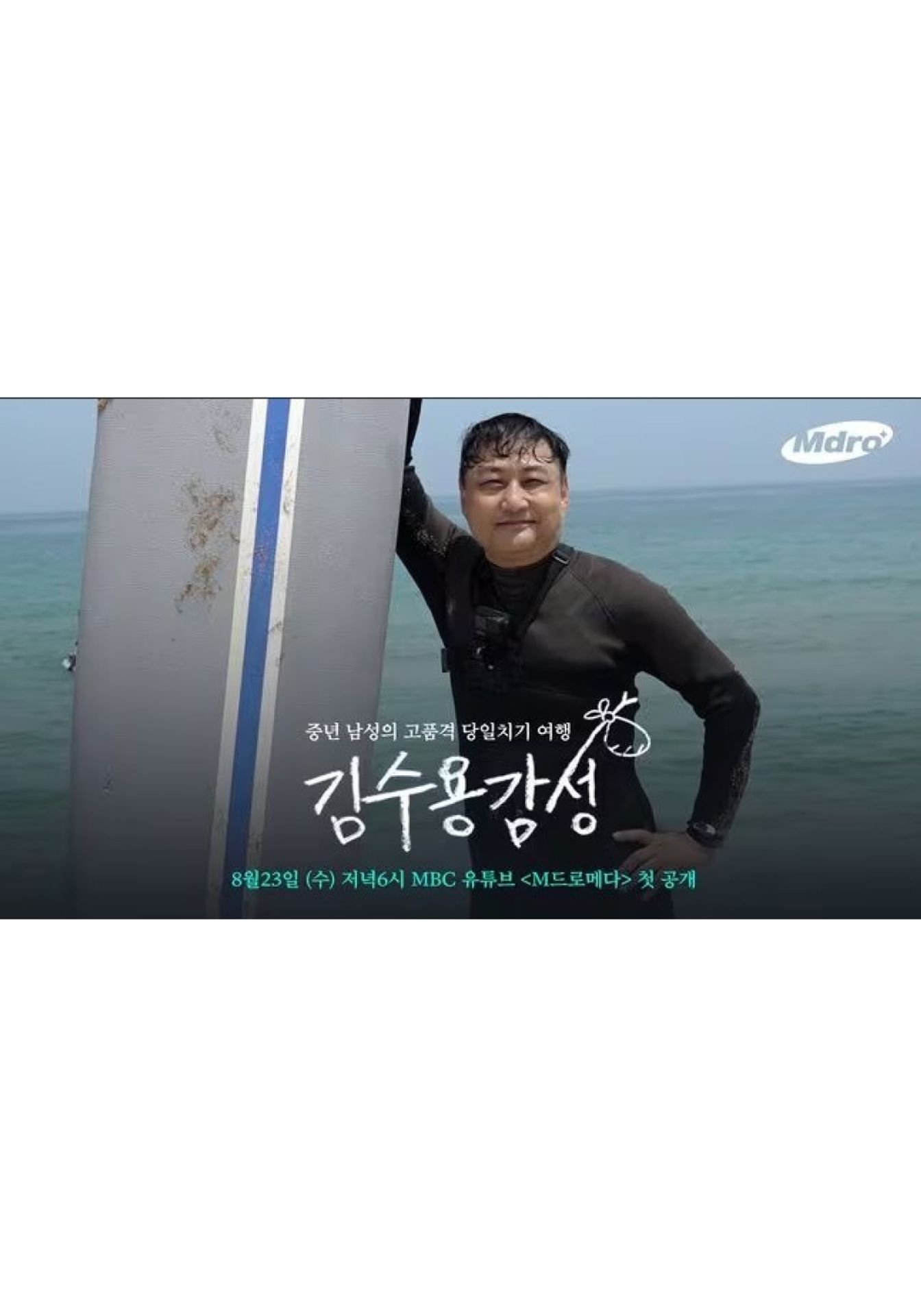 김수용감성