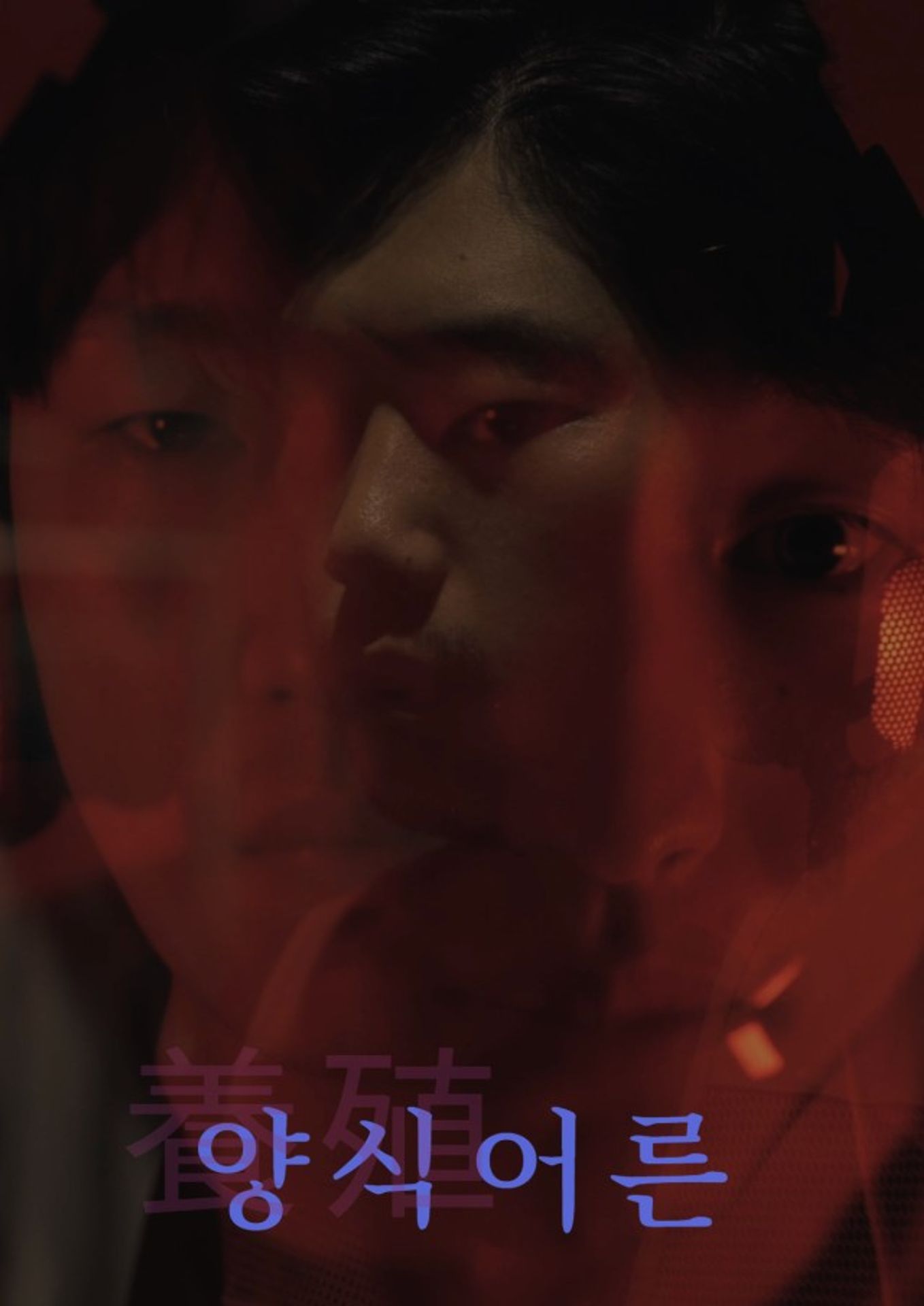 양식어른