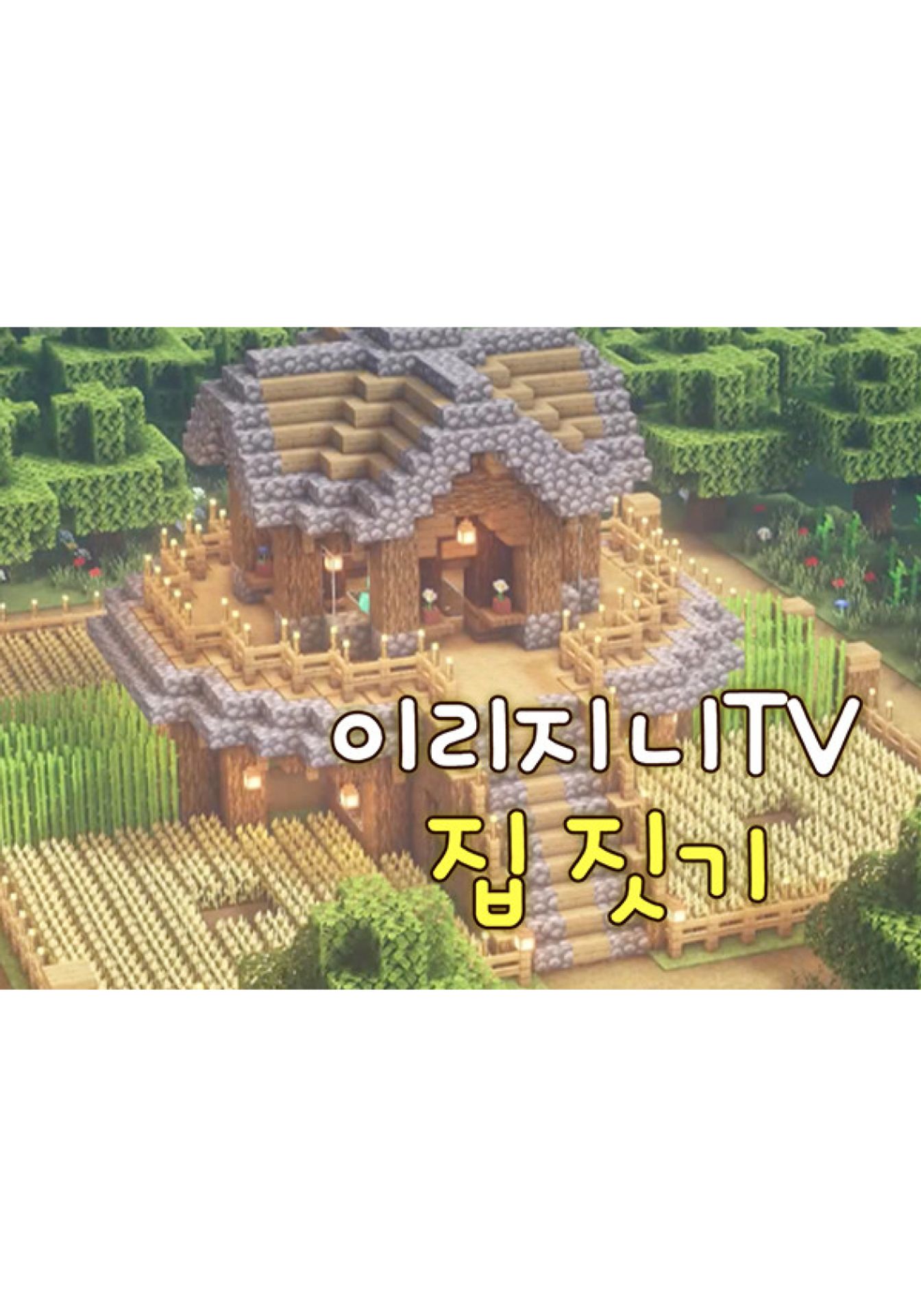 이리지니TV 집짓기