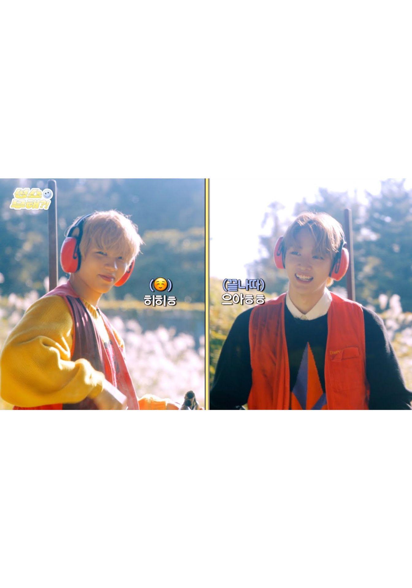 성쇼 오늘 무해?!