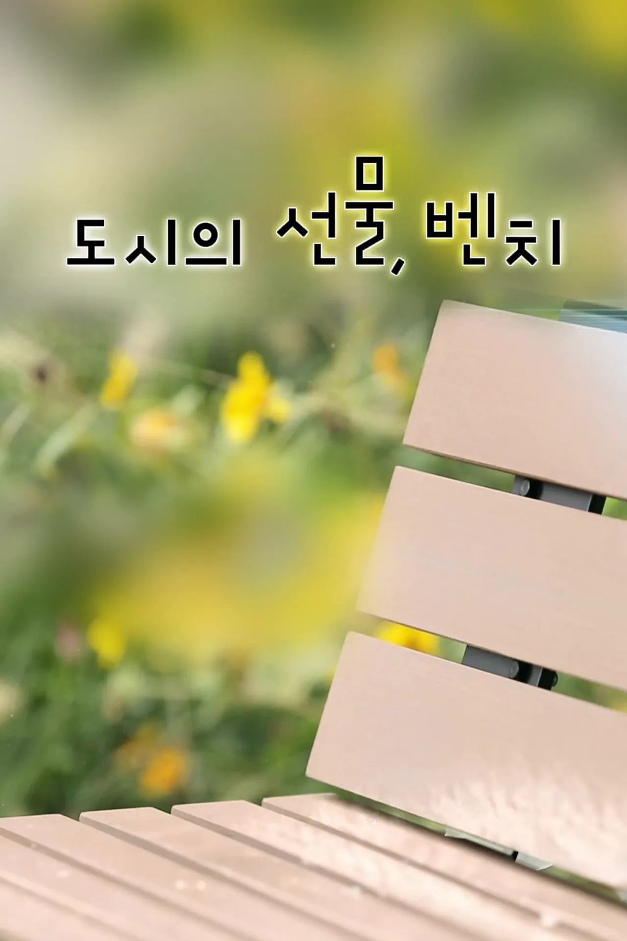 도시의 선물, 벤치